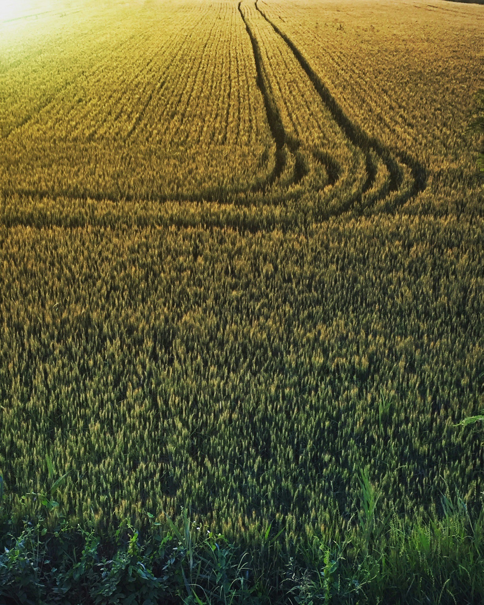 Free Unsplash photo from Martino Pietropoli