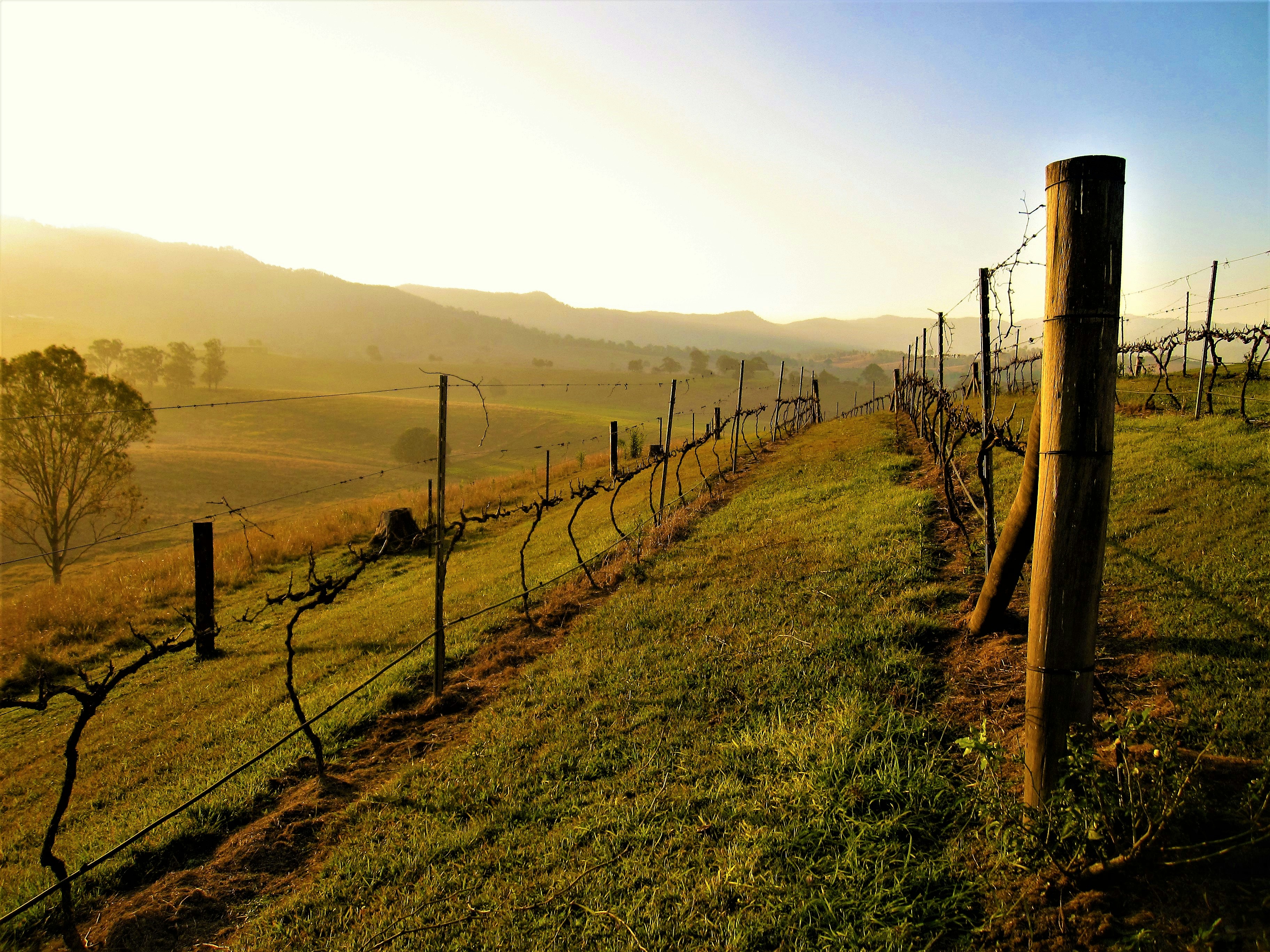 Free Unsplash photo from Dallas Jensen