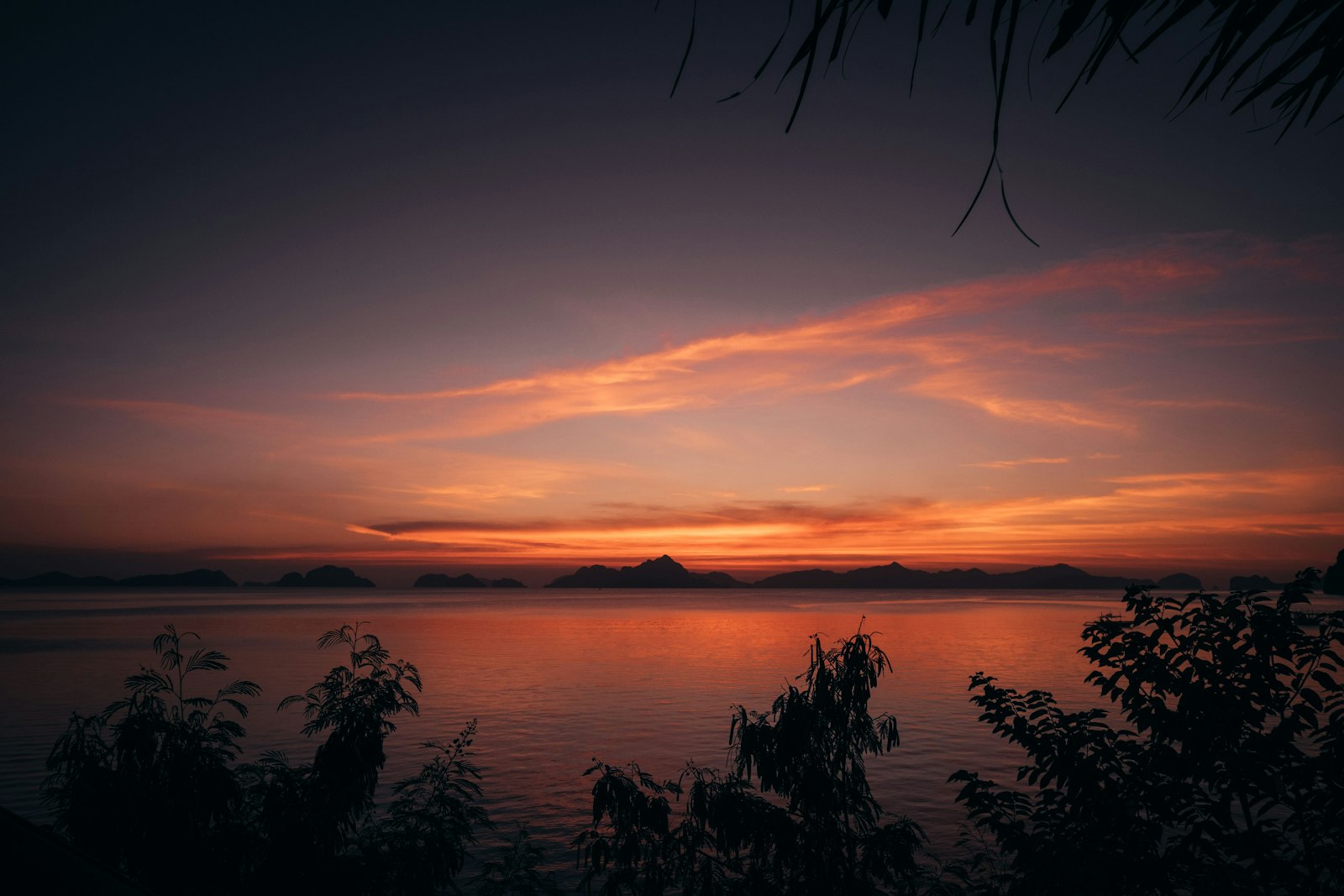 Fujifilm X-T1 + Fujifilm XF 14mm F2.8 R sample photo. Silhouette of plants beside photography