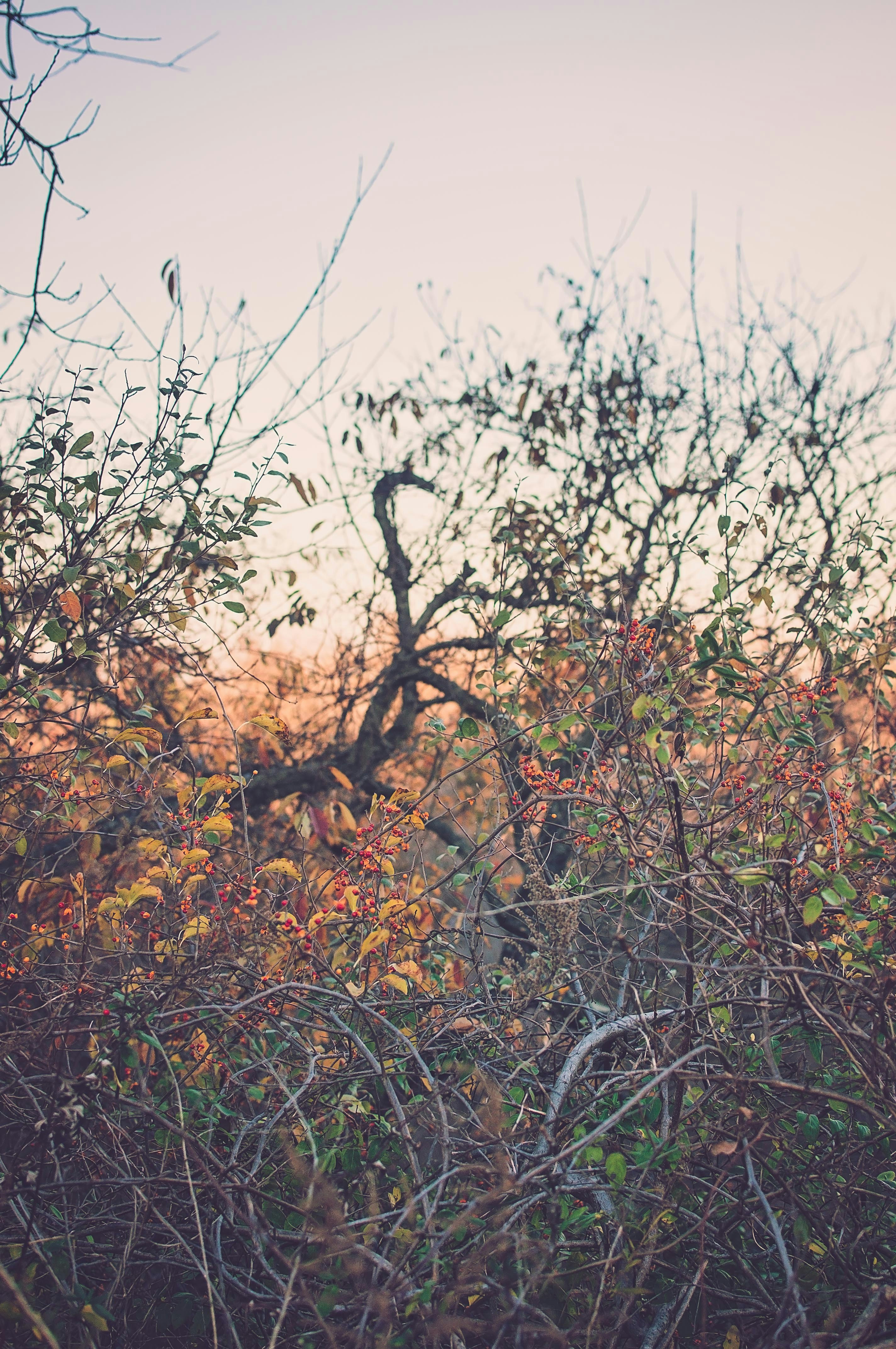 Free Unsplash photo from Yuliya Ginzburg