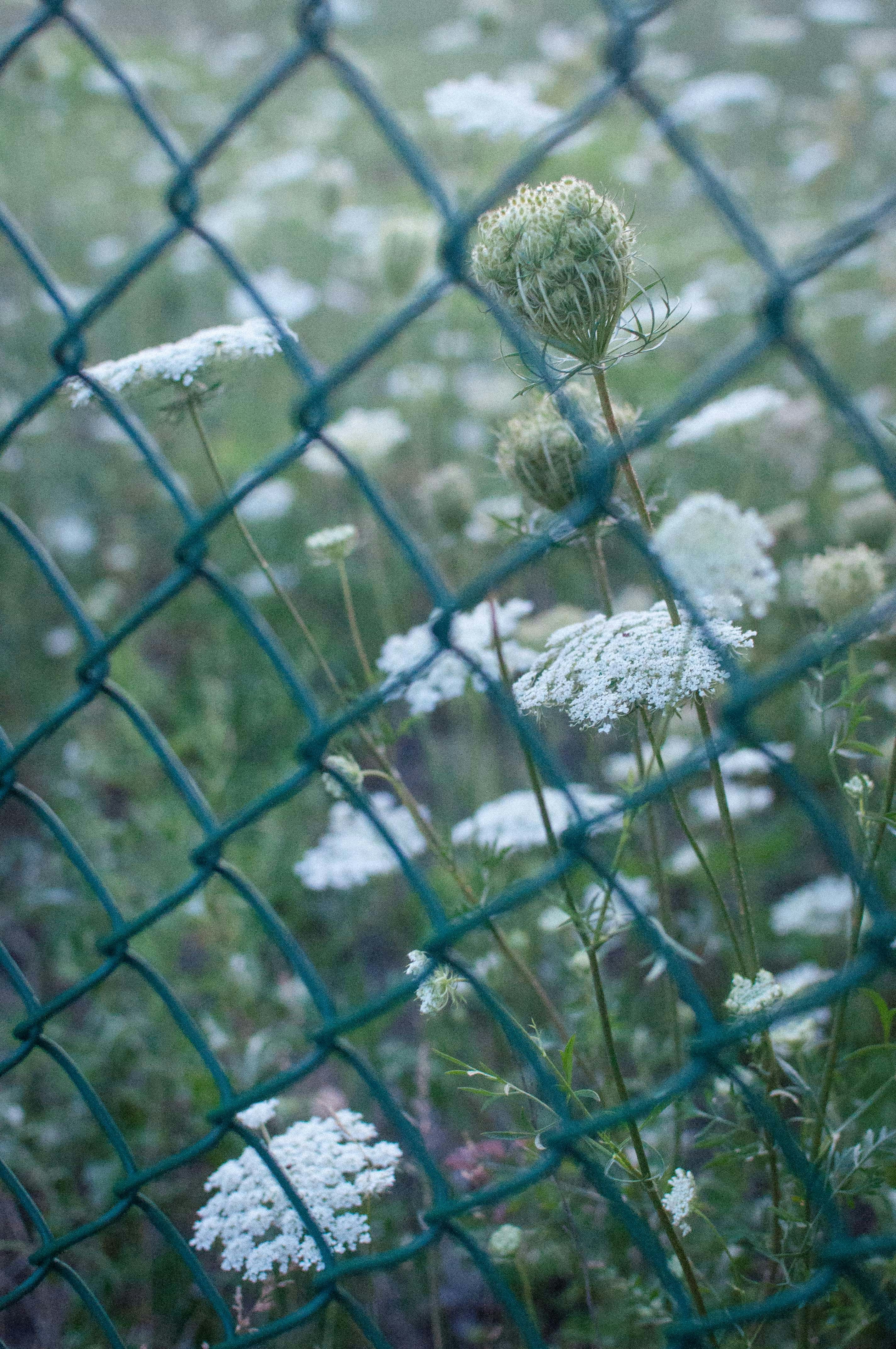 Free Unsplash photo from Yuliya Ginzburg