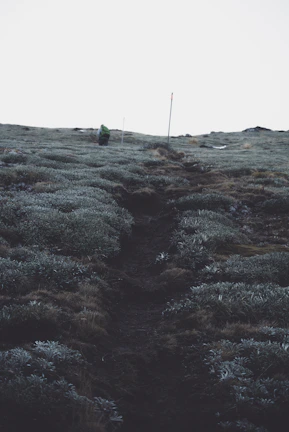 Outdoor trail scene showing the EXOVA exoskeleton aiding a hiker on a rugged path.