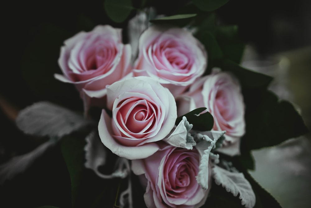 ピンクのバラの花束のクローズアップ写真
