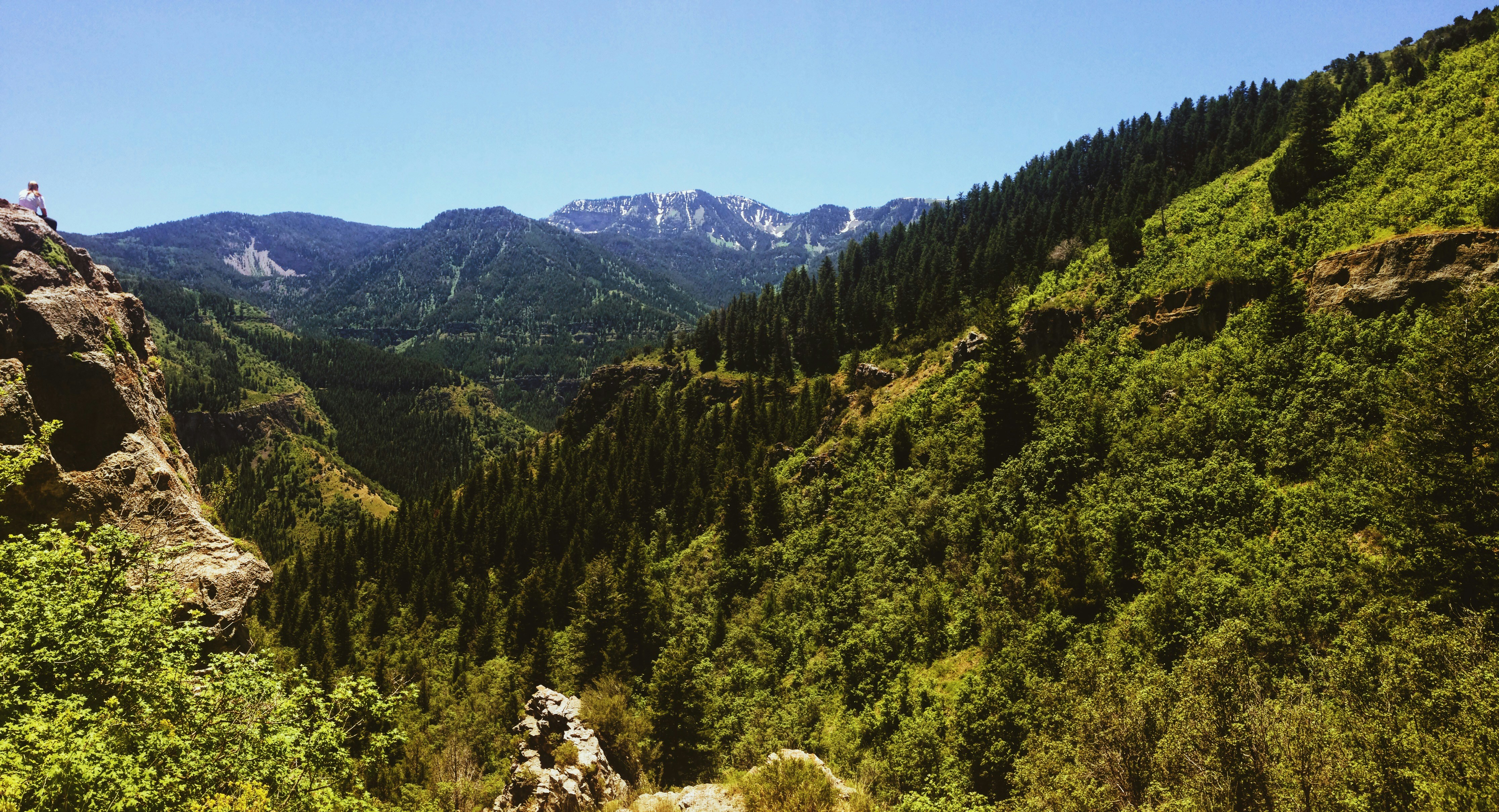 Free Unsplash photo from Brittney Heggie