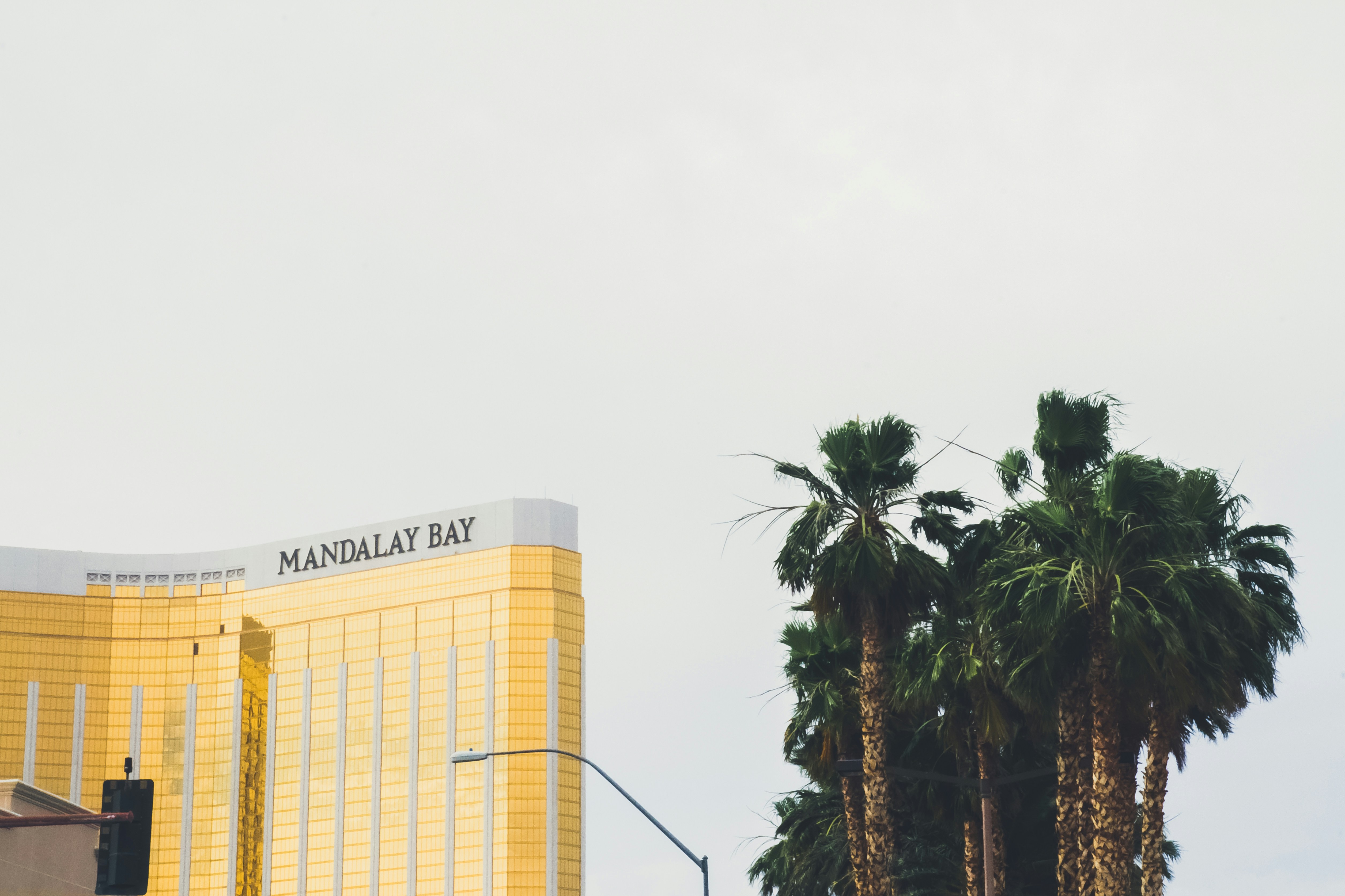 Choose from a curated selection of Las Vegas photos. Always free on Unsplash.