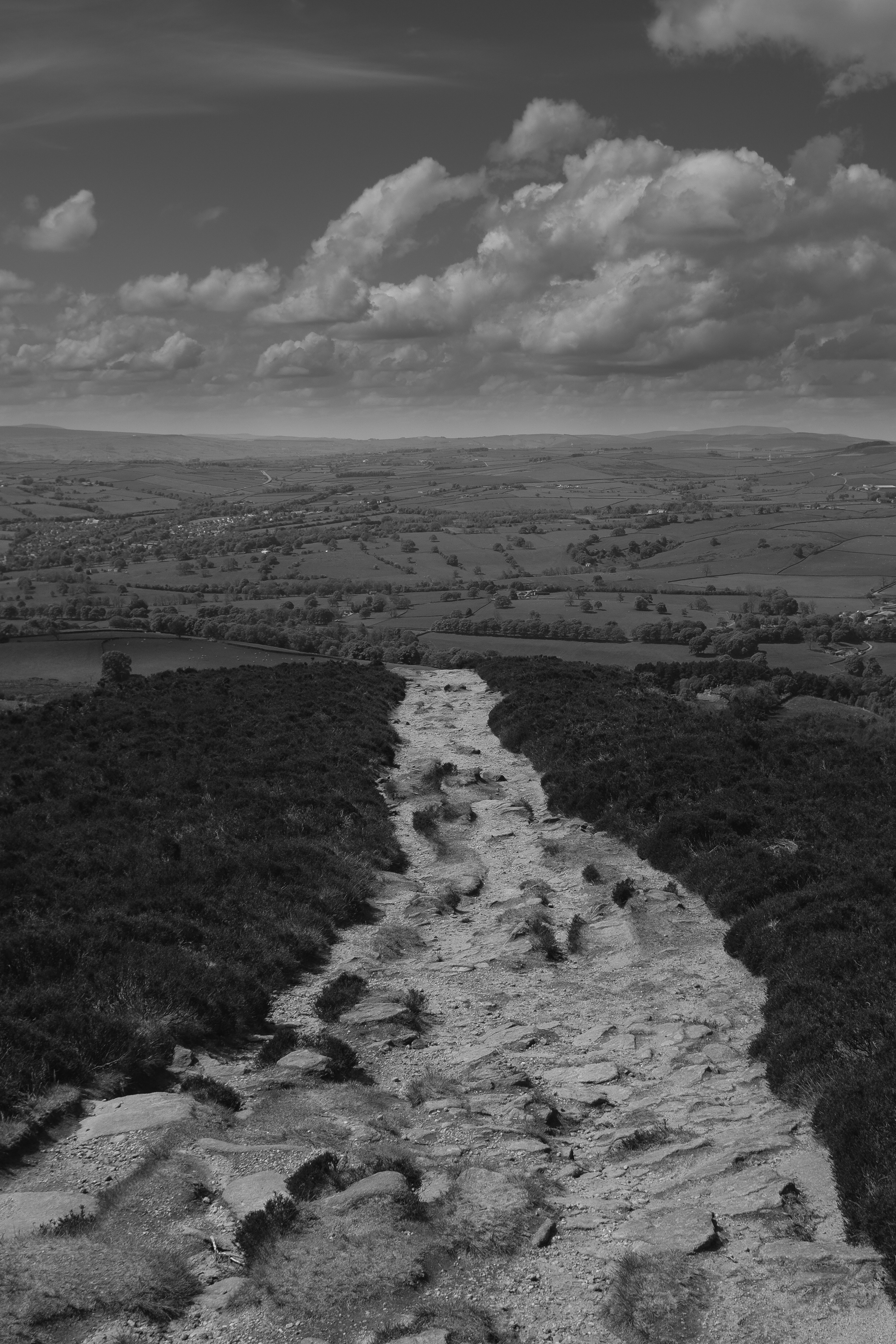 Free Unsplash photo from Adam Hollin