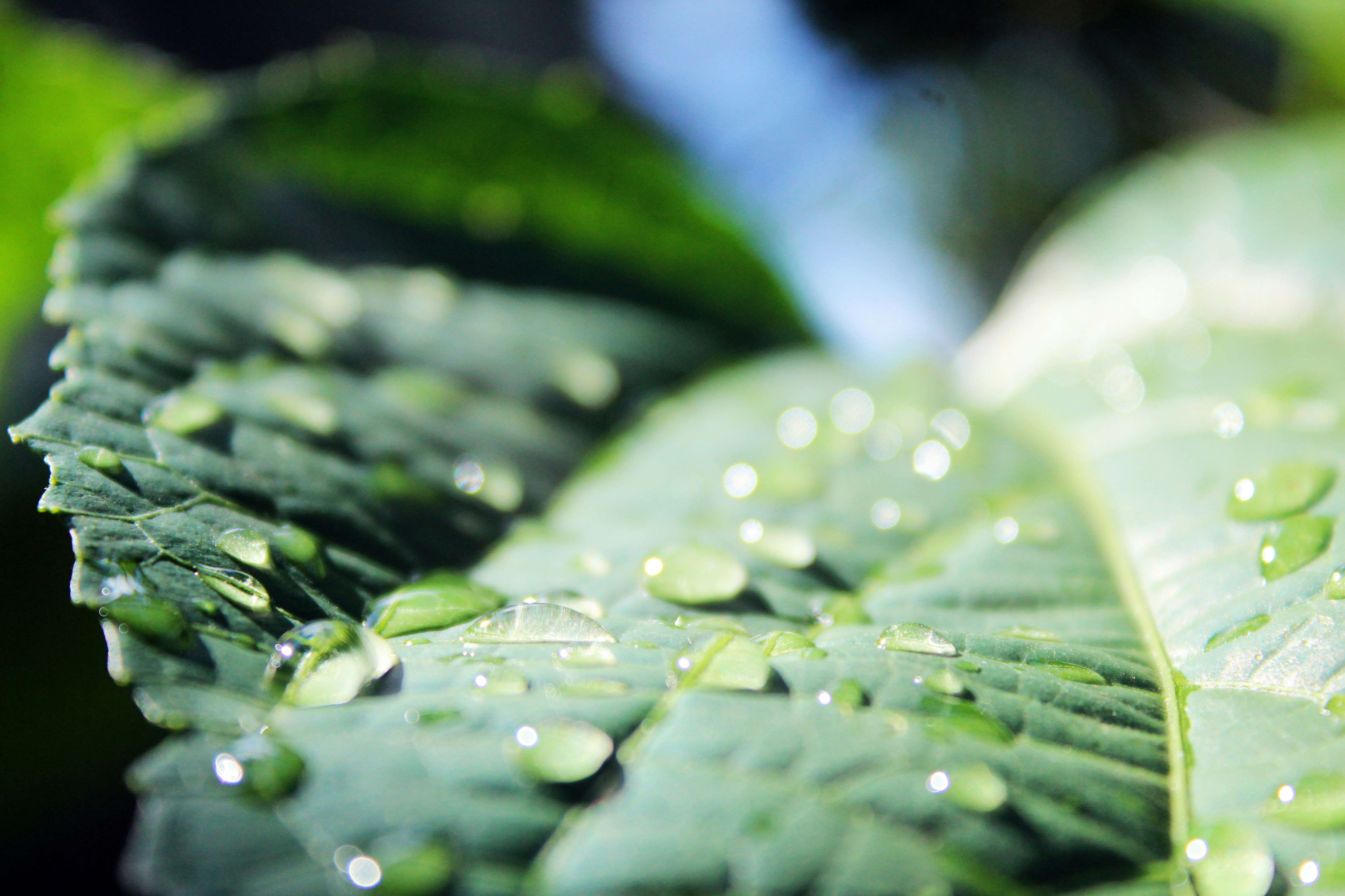 Free Unsplash photo from Jay El Bautista