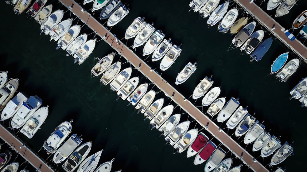 Luftaufnahme von Booten, die im Hafen ankern