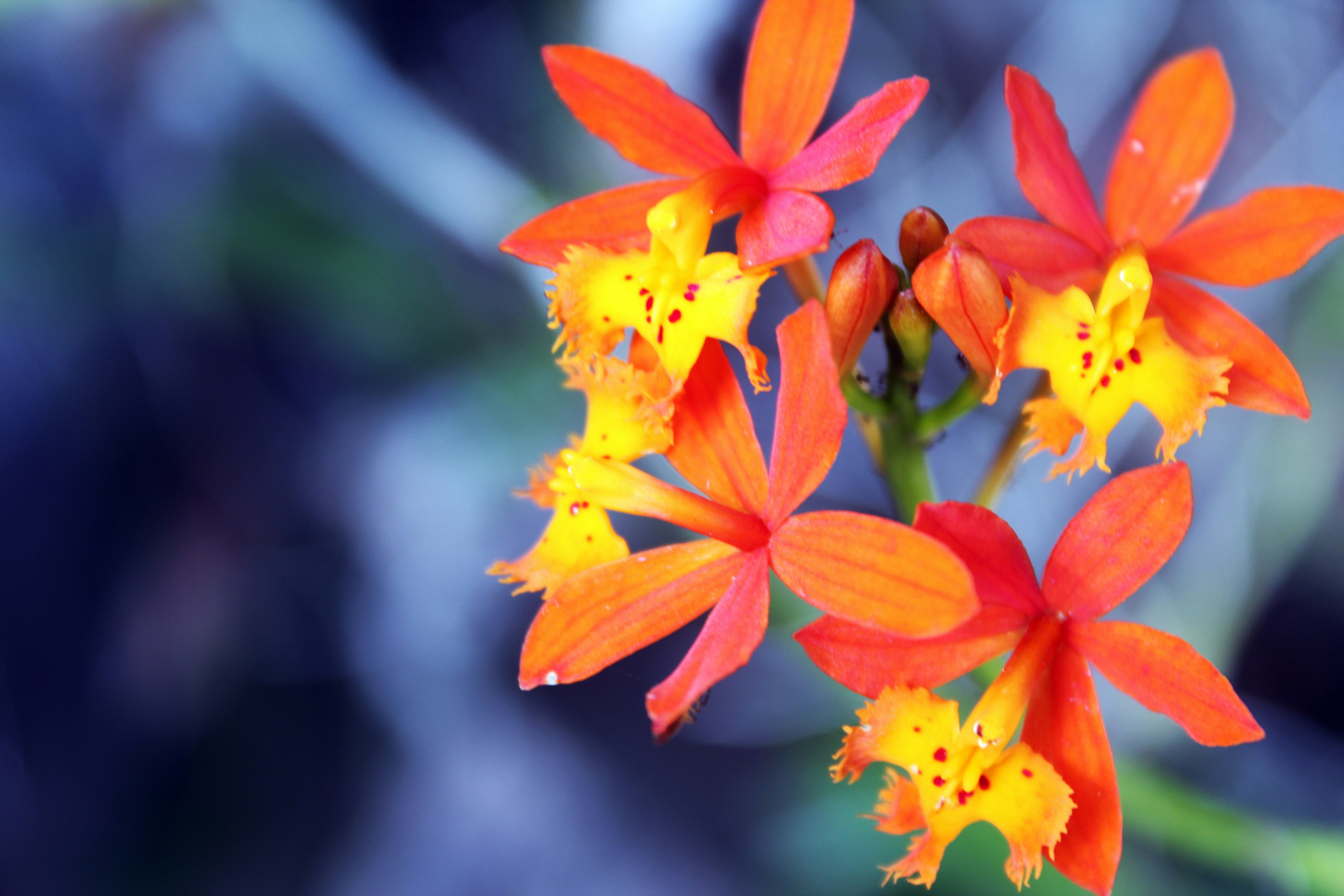 Free Unsplash photo from Jay El Bautista