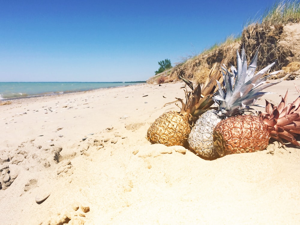 trois ananas sur une plage de sable