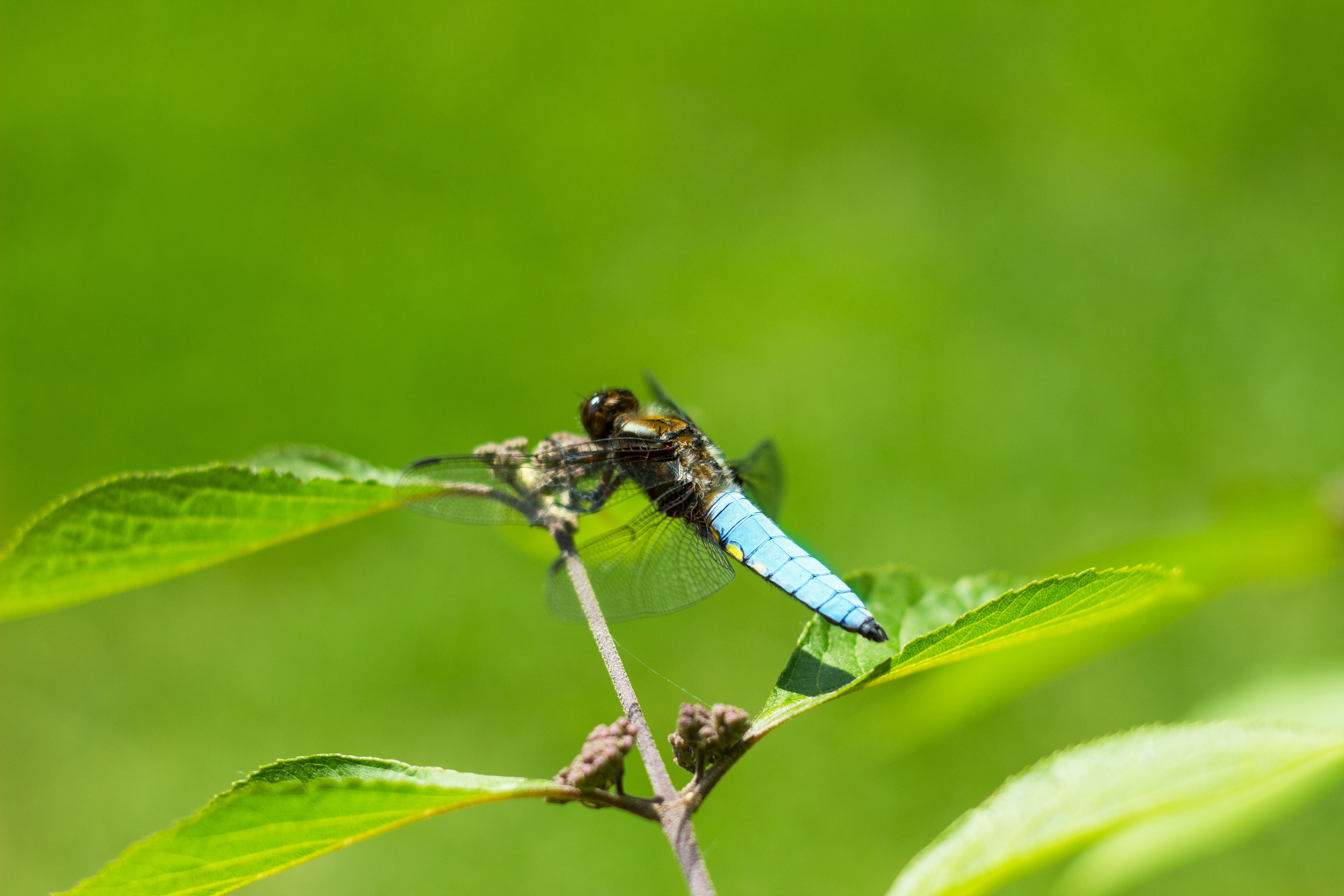 Free Unsplash photo from Kai Brune