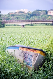 A worn-out boat rests amidst lush green foliage, with vibrant greenery extending to the horizon. The boat is adorned with photographs and has text that reads 'KTDC Ashtamudi' on its side. In the background, there is a bridge stretching across a river, with trees and distant buildings visible under a cloudy sky.