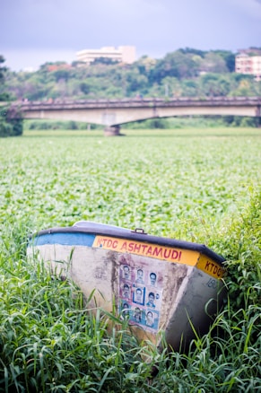 A worn-out boat rests amidst lush green foliage, with vibrant greenery extending to the horizon. The boat is adorned with photographs and has text that reads 'KTDC Ashtamudi' on its side. In the background, there is a bridge stretching across a river, with trees and distant buildings visible under a cloudy sky.