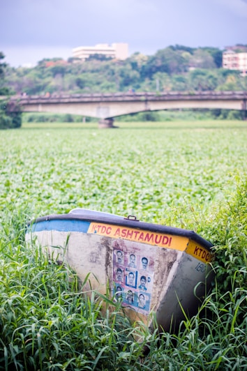 A worn-out boat rests amidst lush green foliage, with vibrant greenery extending to the horizon. The boat is adorned with photographs and has text that reads 'KTDC Ashtamudi' on its side. In the background, there is a bridge stretching across a river, with trees and distant buildings visible under a cloudy sky.