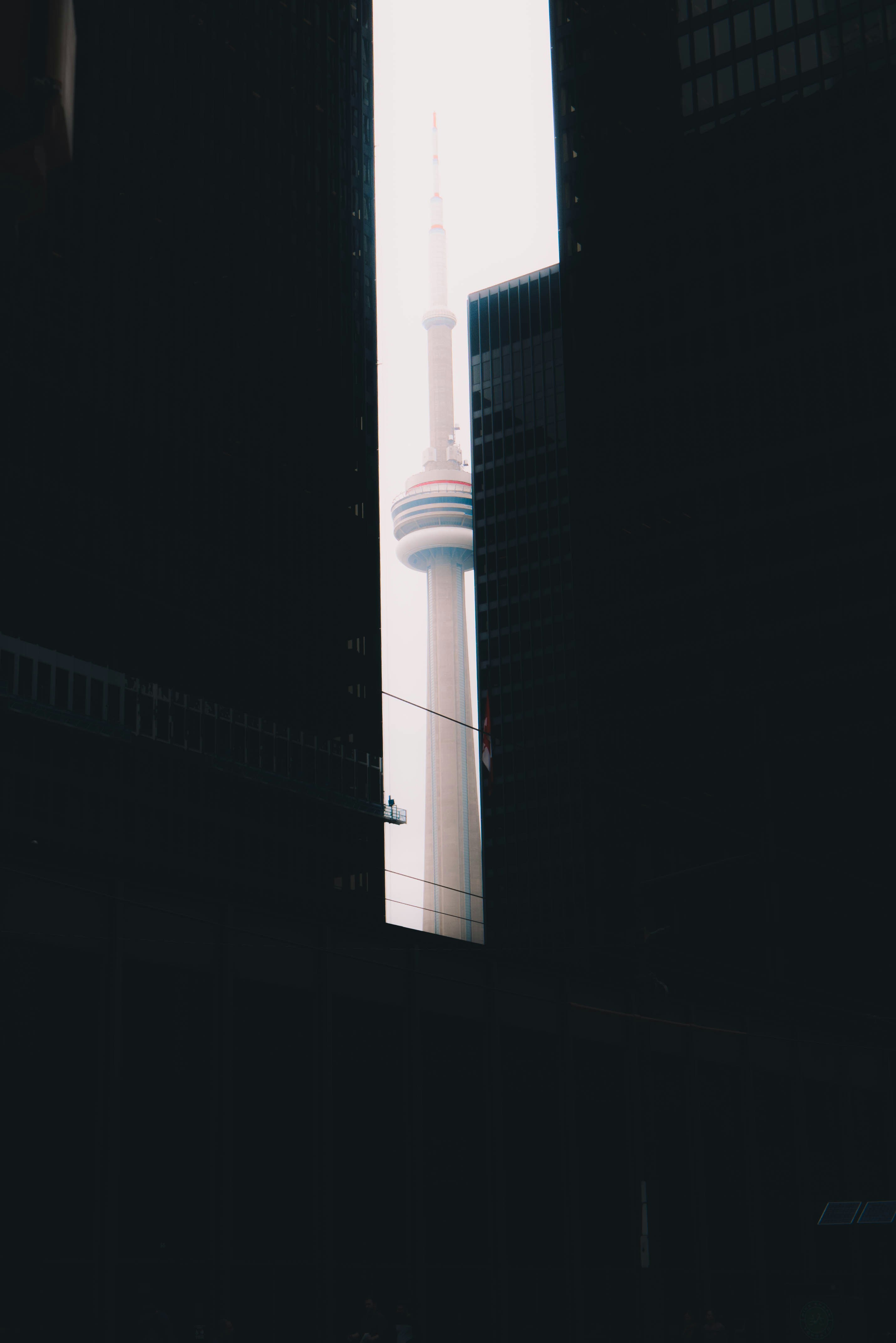 photo-1496325625490-fea77500a740?ixid=M3wxMjA3fDB8MXxzZWFyY2h8MjB8fGluc3RhZ3JhbSUyMHpha3plcHRpZXJ0ZSUyMGluaGFsdGUlMjBhbnNlaGVufGVufDB8fHx8MTc1NDY2MjkyM3ww\u0026ixlib=rb-4.1.0