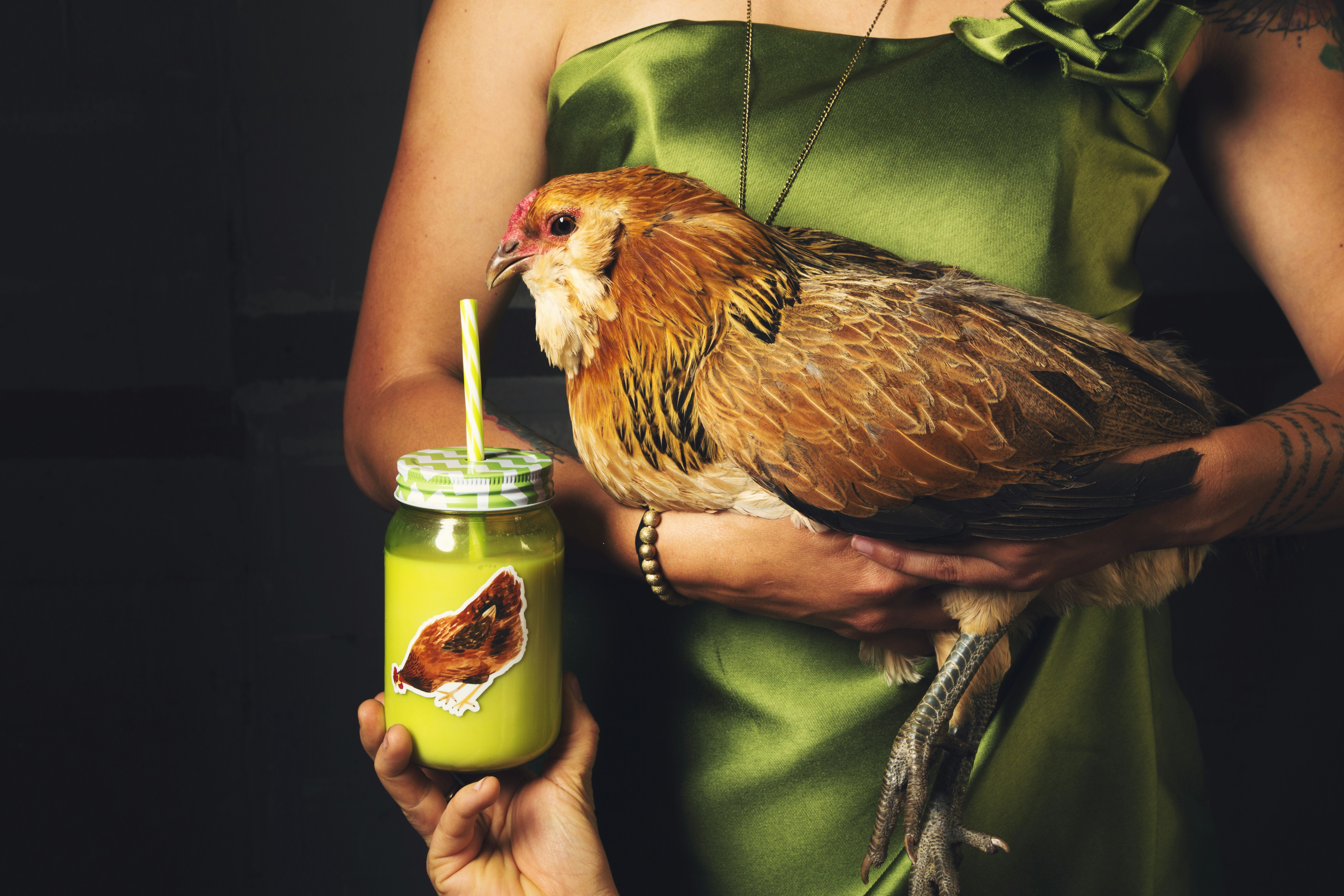 person holding chicken