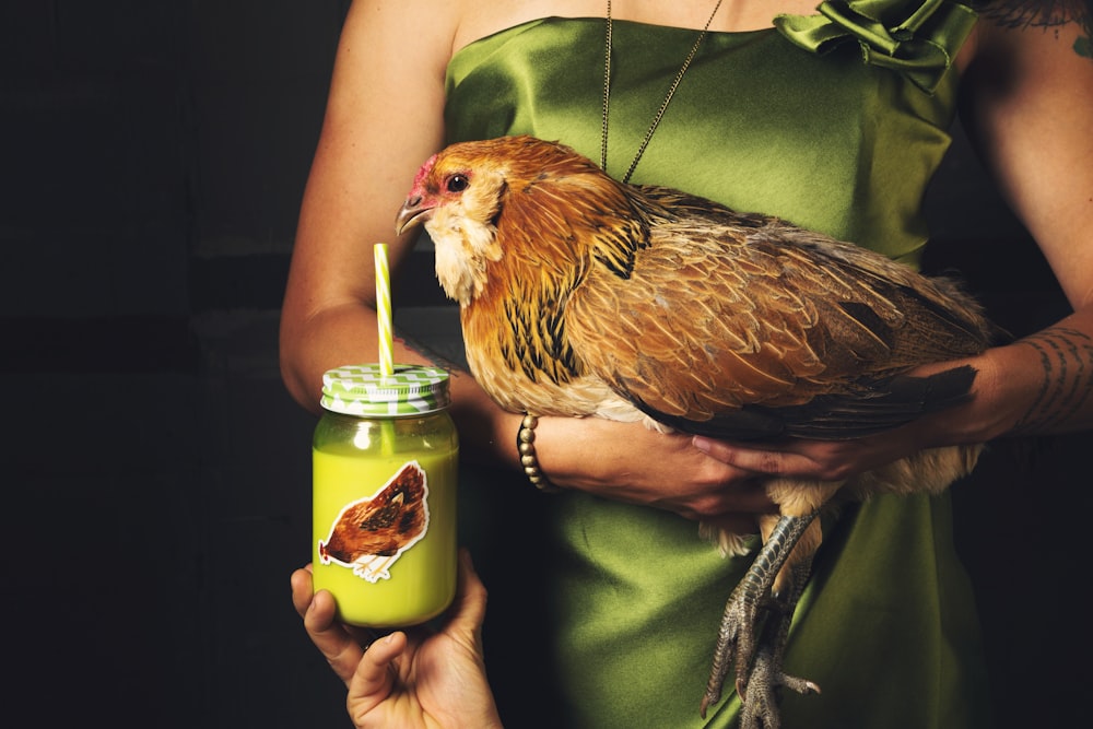 person holding chicken