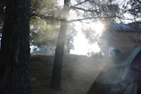 A peaceful morning scene at the camp area with sunlight filtering through the trees.