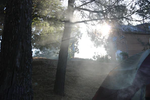 A peaceful morning scene at the camp area with sunlight filtering through the trees.