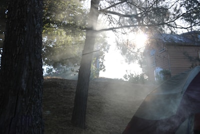 A peaceful morning scene showing sunlight filtering through the forest onto a cabin porch.