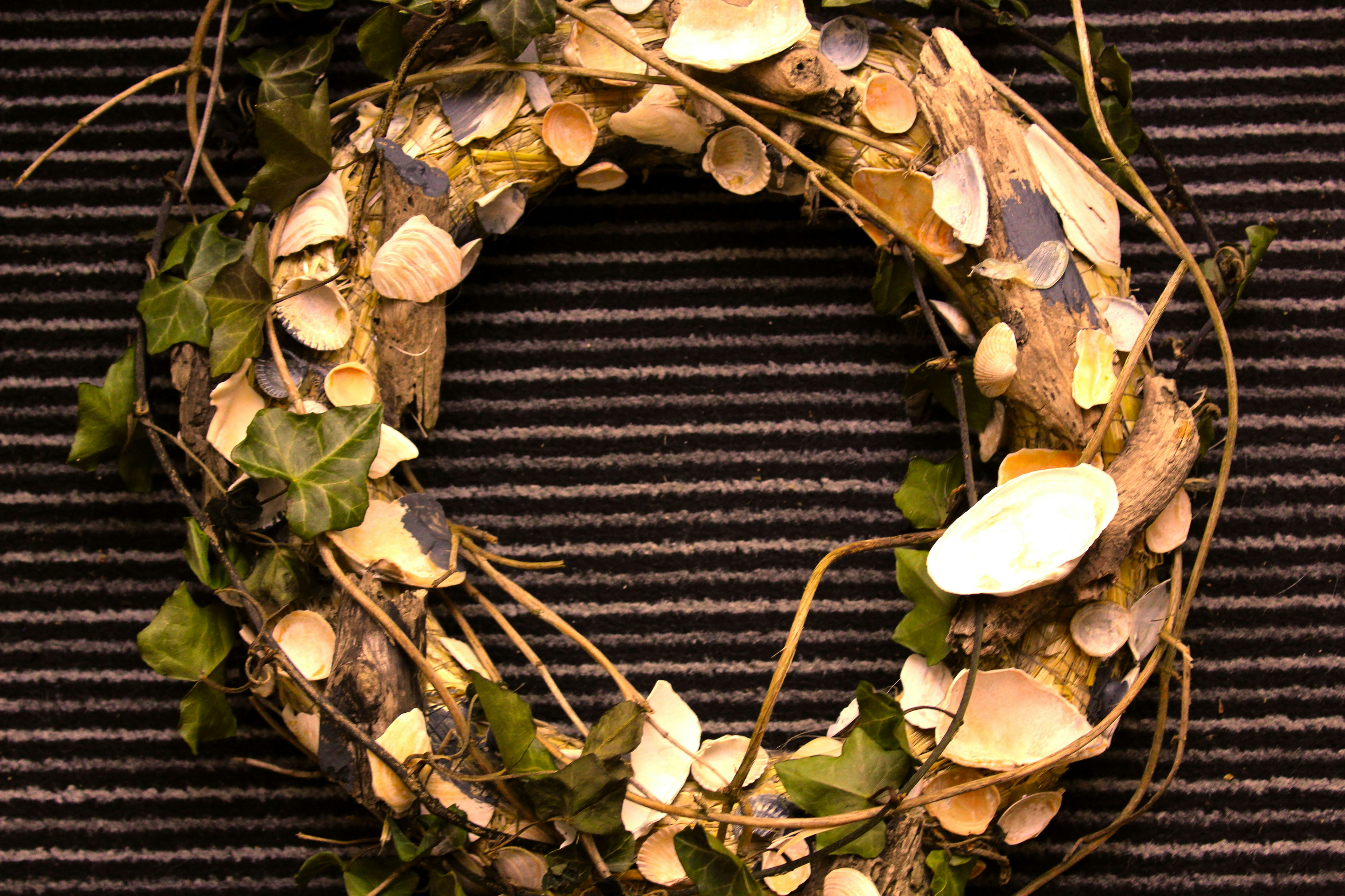 Free Unsplash photo from Ian Veenstra