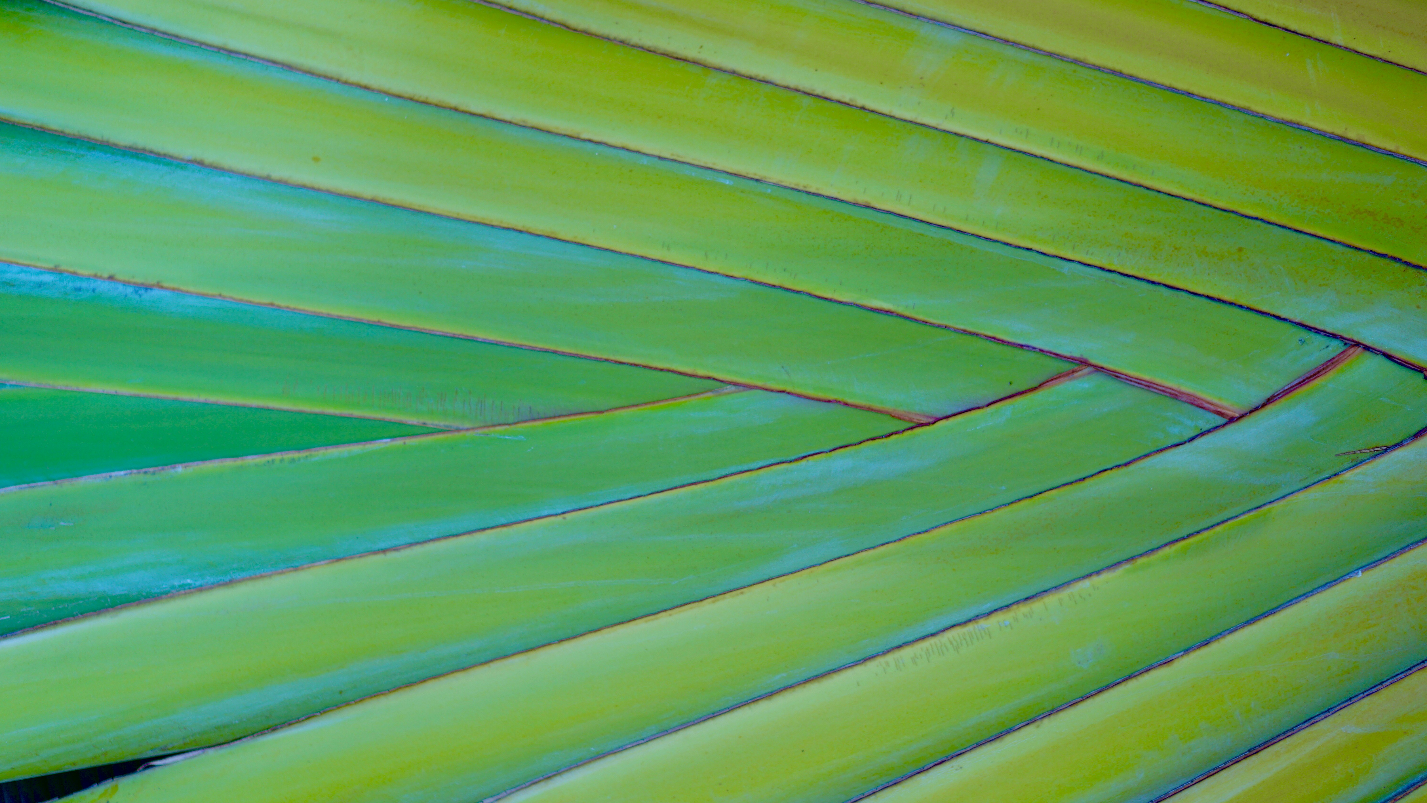 photo-1496342288151-97e752a00a68?ixlib=rb-1.2.1&ixid=eyJhcHBfaWQiOjEyMDd9&auto=format&fit=crop&w=1778&q=80