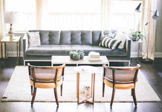 A cozy living room scene featuring a plush sofa, elegant chandelier, and a playful dog near a pet bed