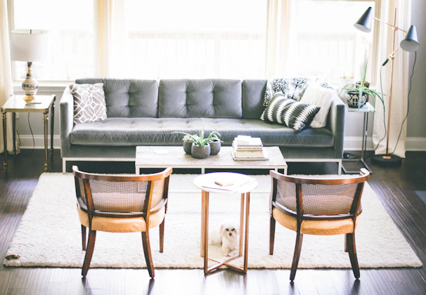 A cozy living room featuring a plush gray sofa with soft cushions.