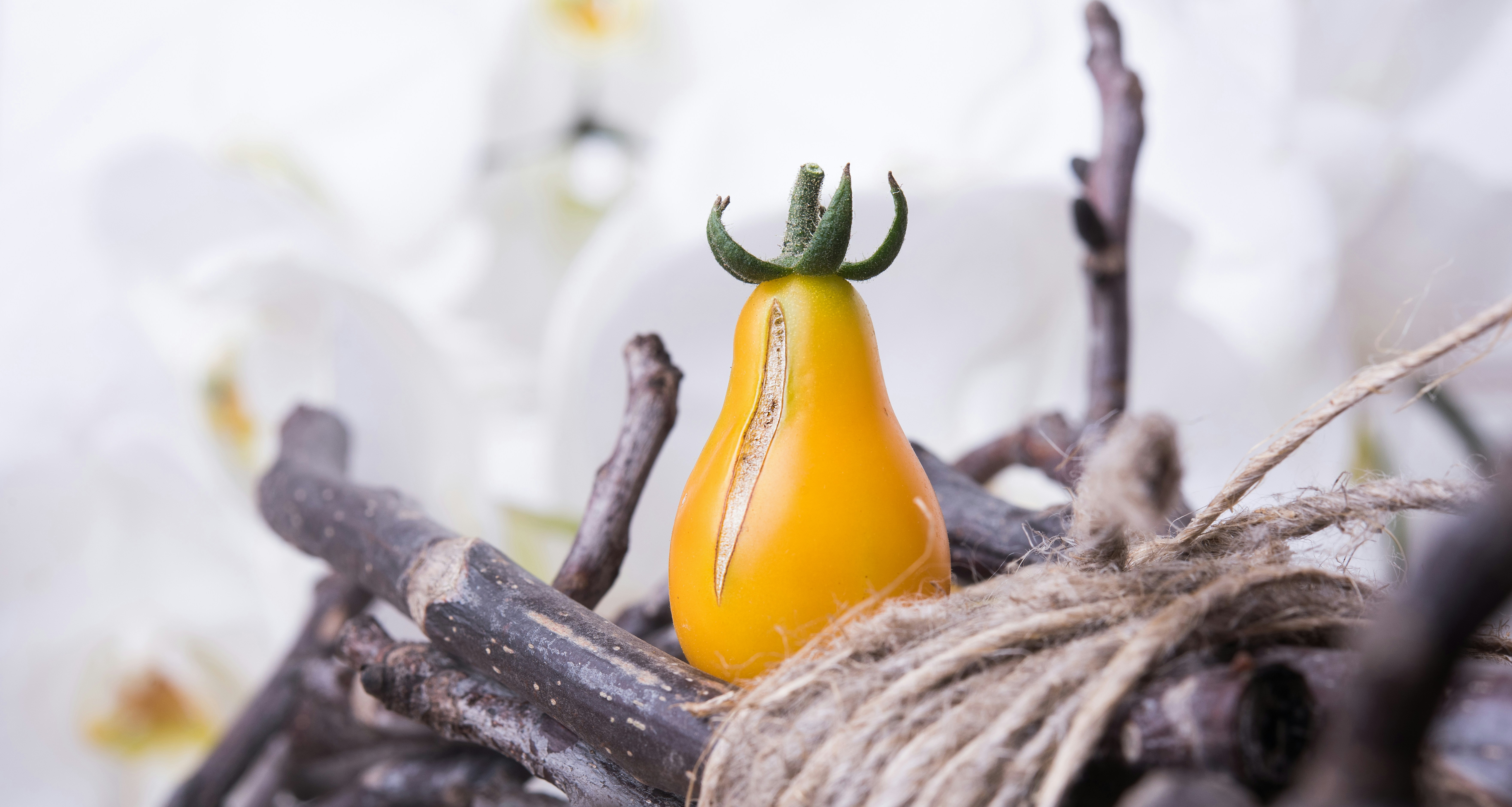 Free Unsplash photo from PICSELI