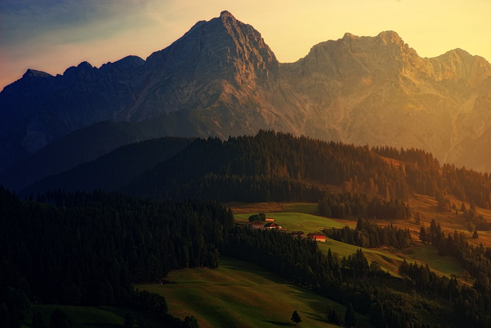 landscape photography of mountain and forest