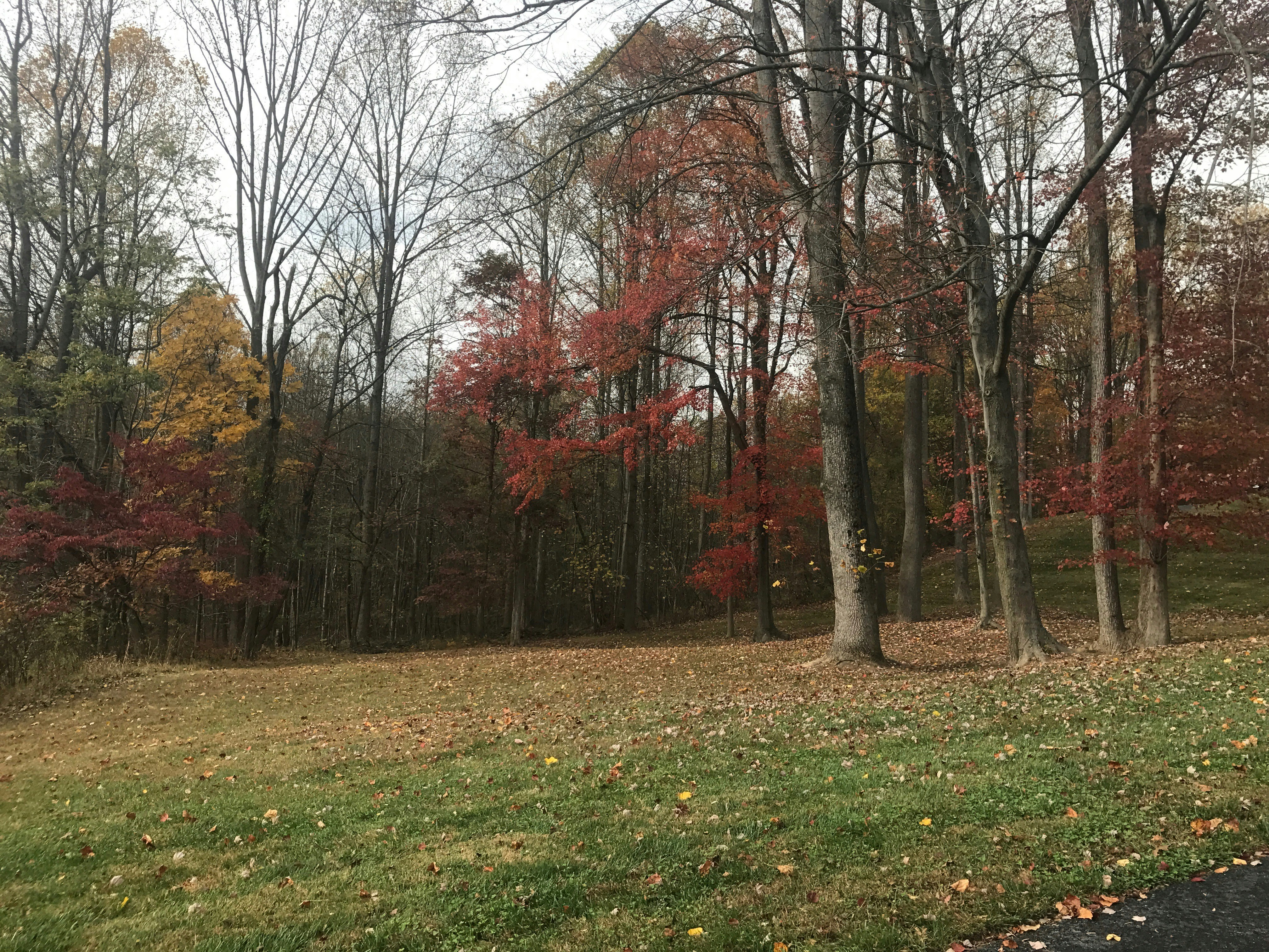 Free Unsplash photo from Sara Koohan