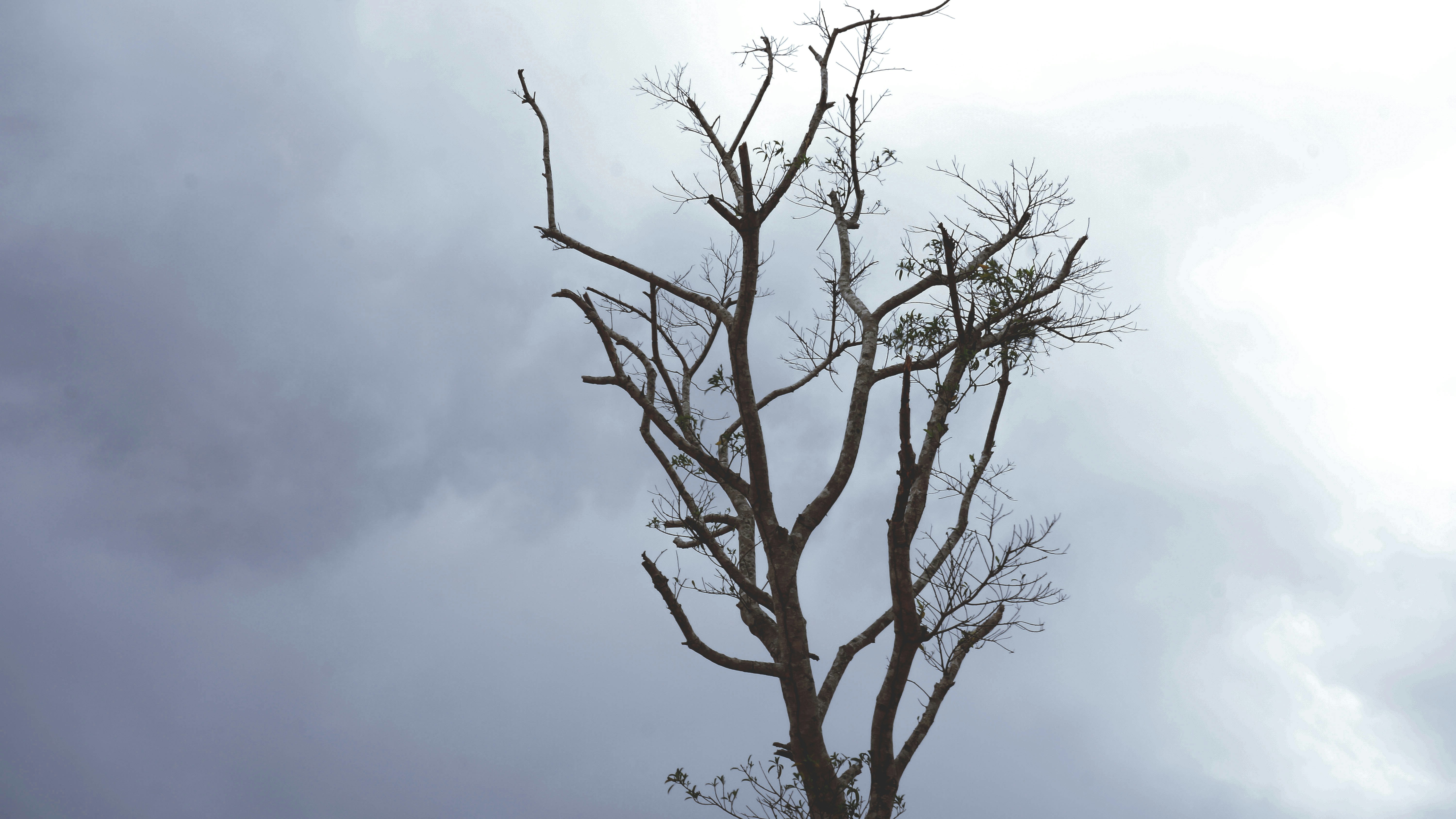 Free Unsplash photo from Luís Sousa