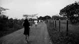 Volunteers planting trees along a rural path
