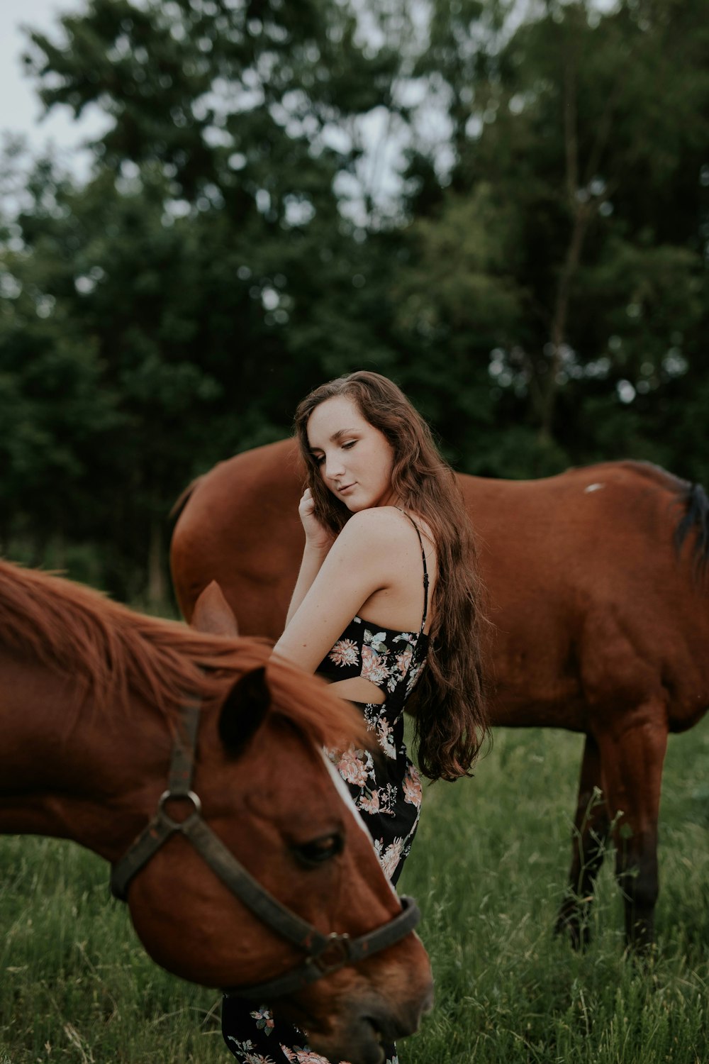 femme debout entre des chevaux bruns à l’heure de la journée