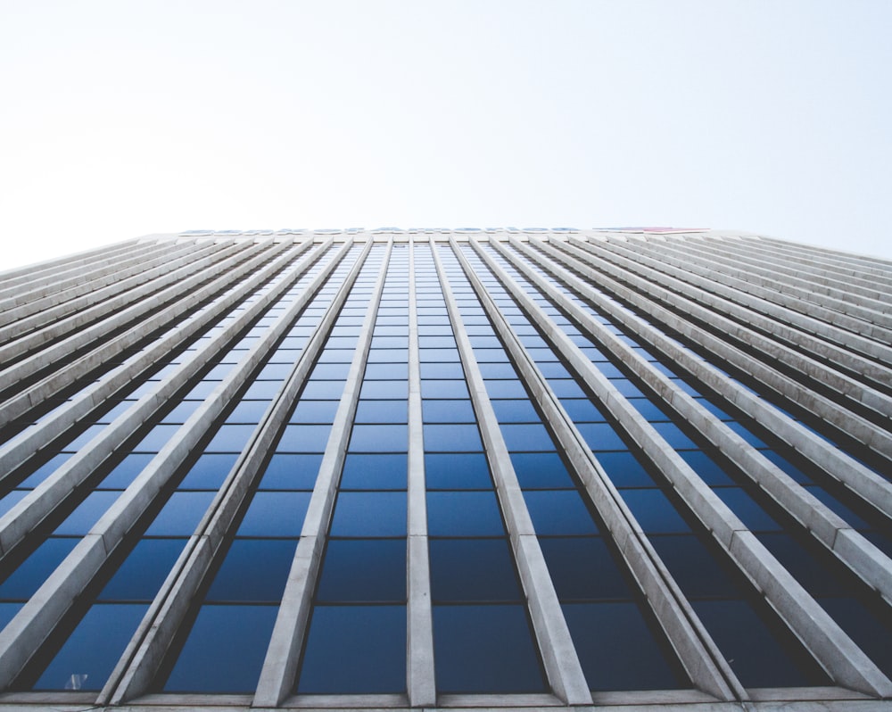 white concrete building