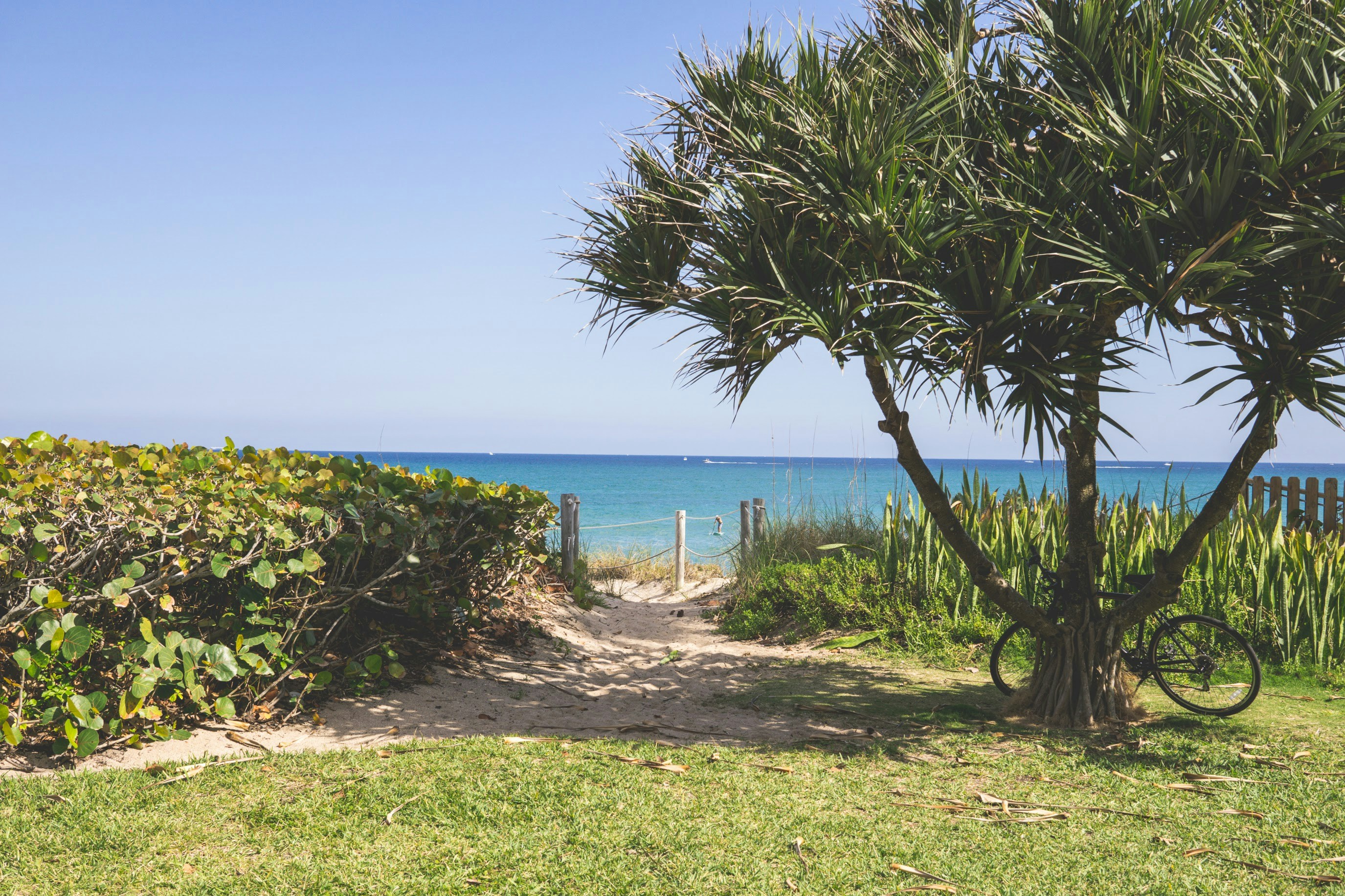 Free Unsplash photo from Joshua Anderson