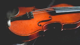 closeup photo of brown violin