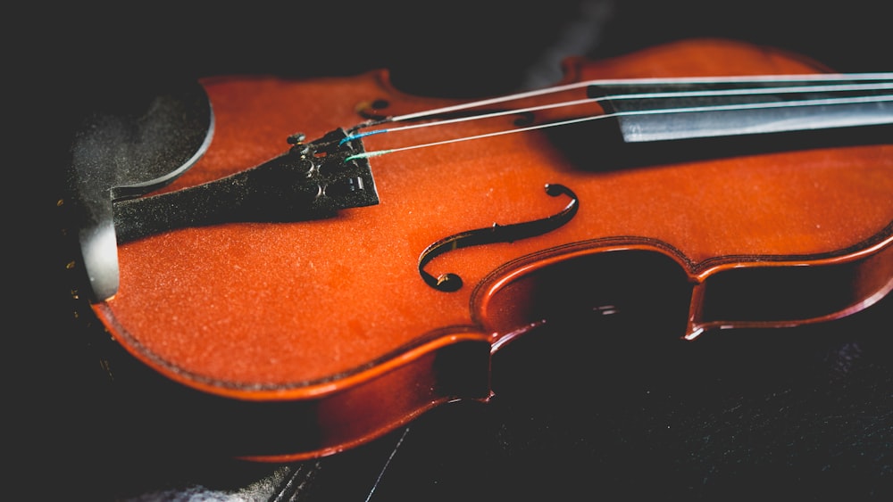 closeup photo of brown violin