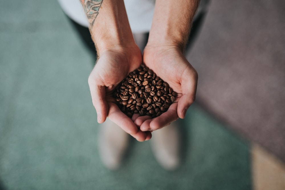 puñado de granos de café