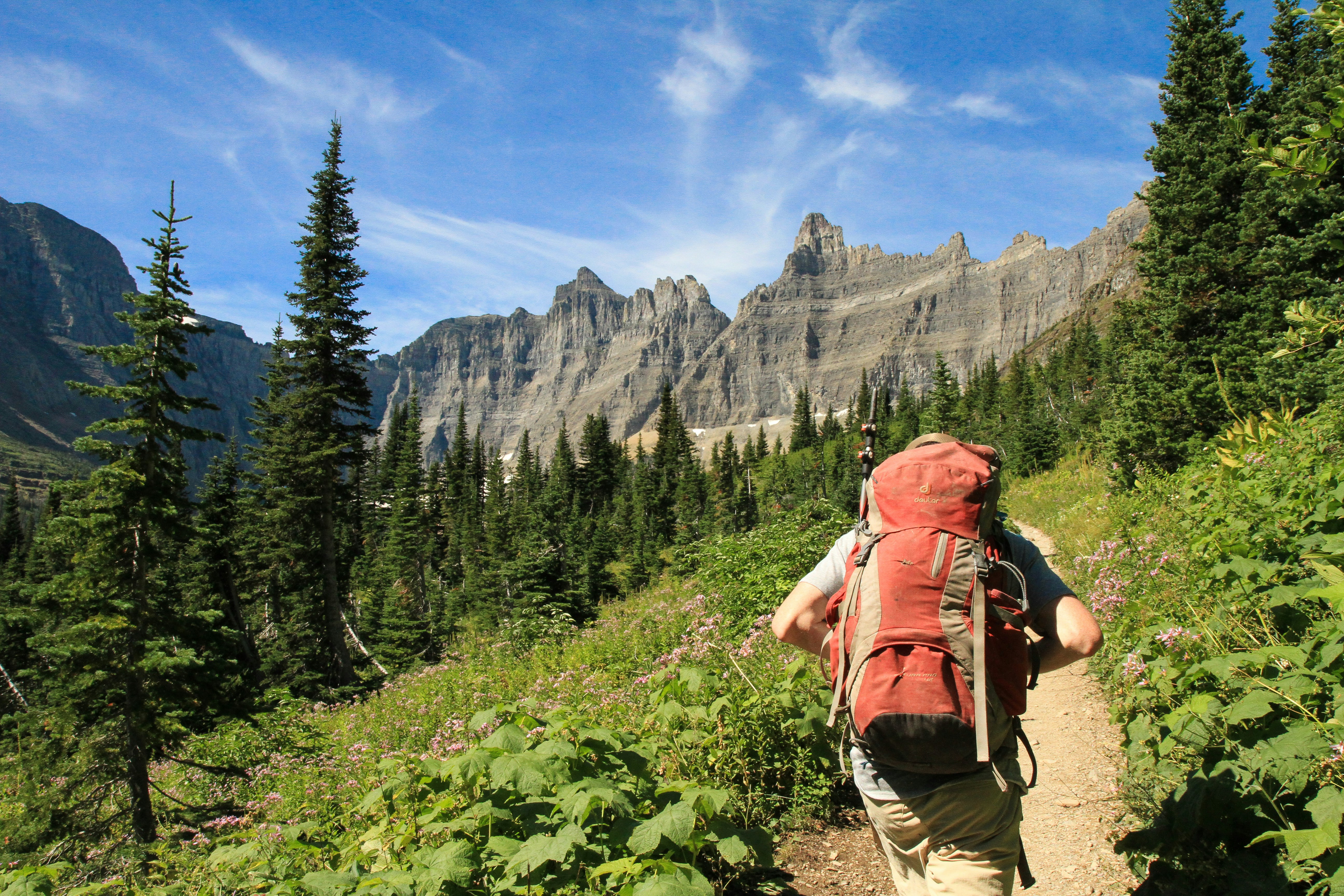 Free Unsplash photo from Holly Mandarich