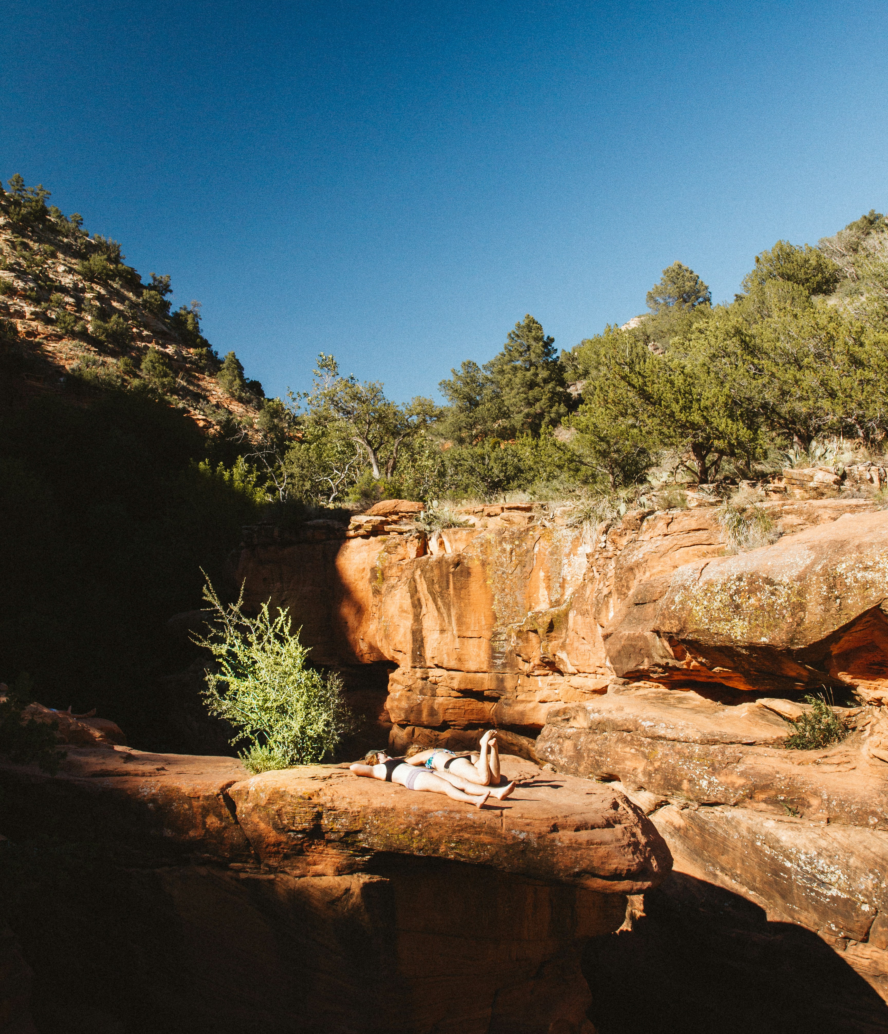 Free Unsplash photo from Holly Mandarich