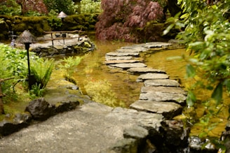 A serene Japanese garden with a stone path and blooming cherry blossoms.