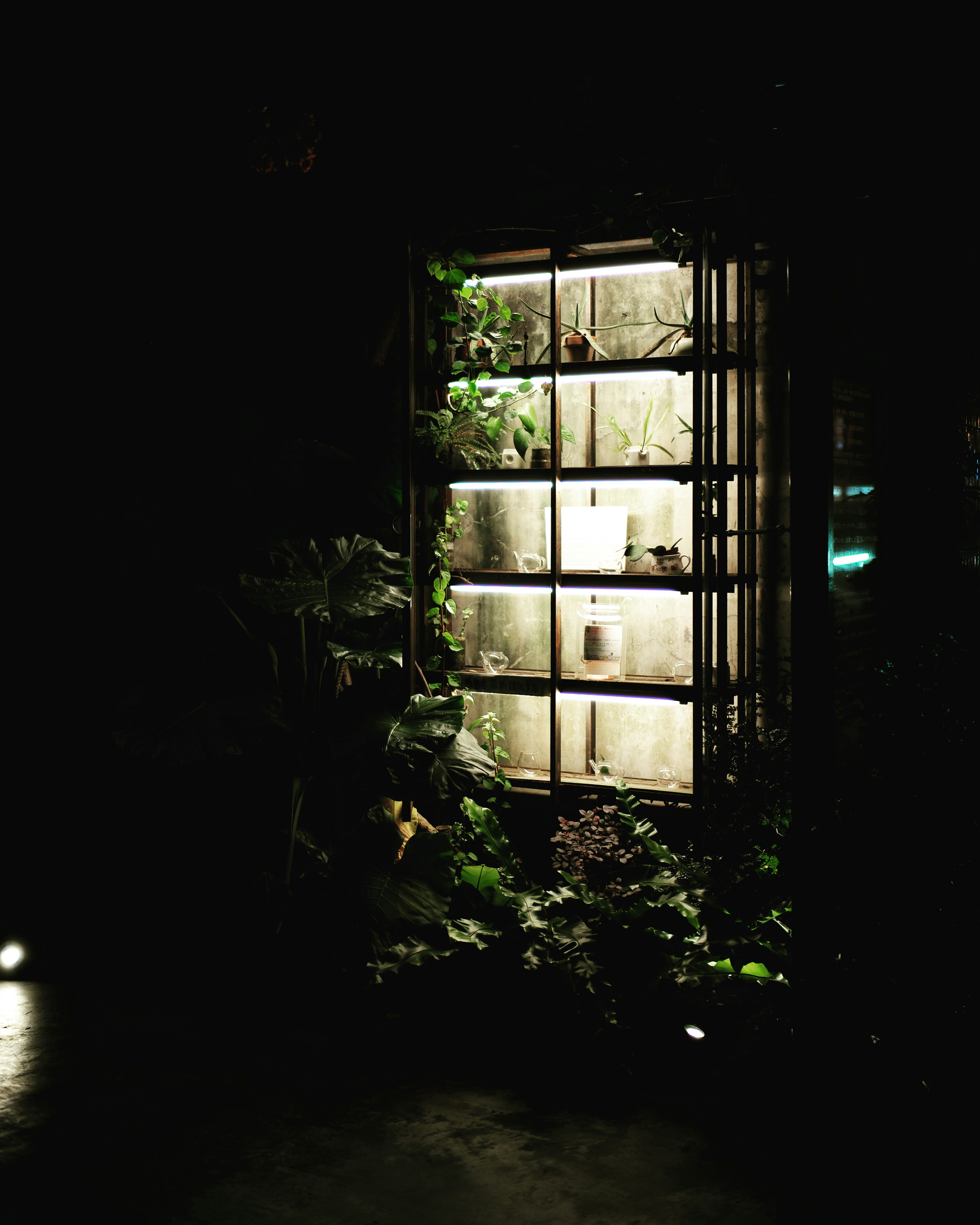 Free Unsplash photo from Cater Yang