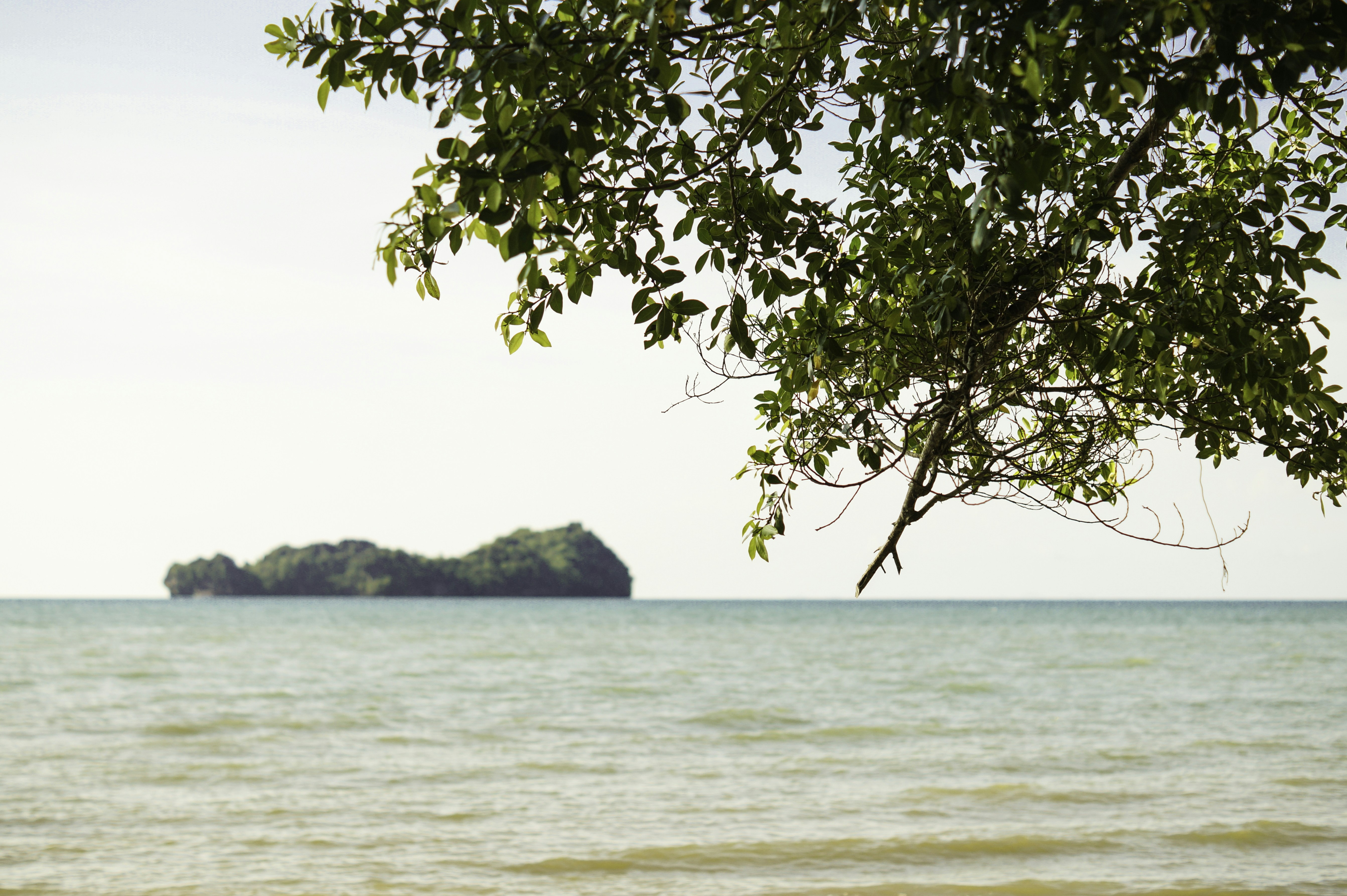 Free Unsplash photo from Divyansh Gehlot