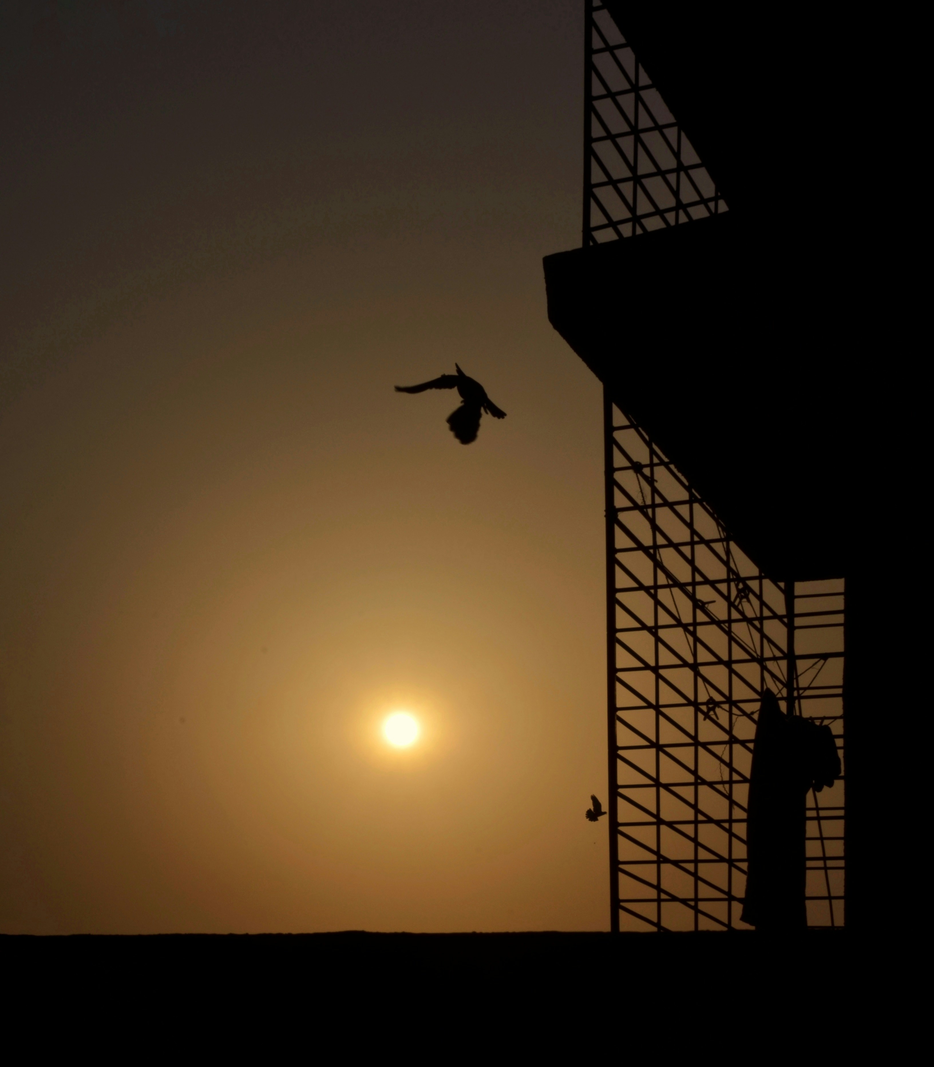 Free Unsplash photo from Mohammed Goryawala