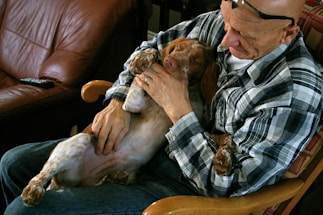 A person with glasses perched on top of their head is sitting in a comfortable chair, holding a dog affectionately in their lap. The dog appears relaxed and is being gently embraced, conveying a moment of affectionate bonding. The setting includes a leather couch and a television remote control on a nearby surface.