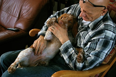 A person with glasses perched on top of their head is sitting in a comfortable chair, holding a dog affectionately in their lap. The dog appears relaxed and is being gently embraced, conveying a moment of affectionate bonding. The setting includes a leather couch and a television remote control on a nearby surface.