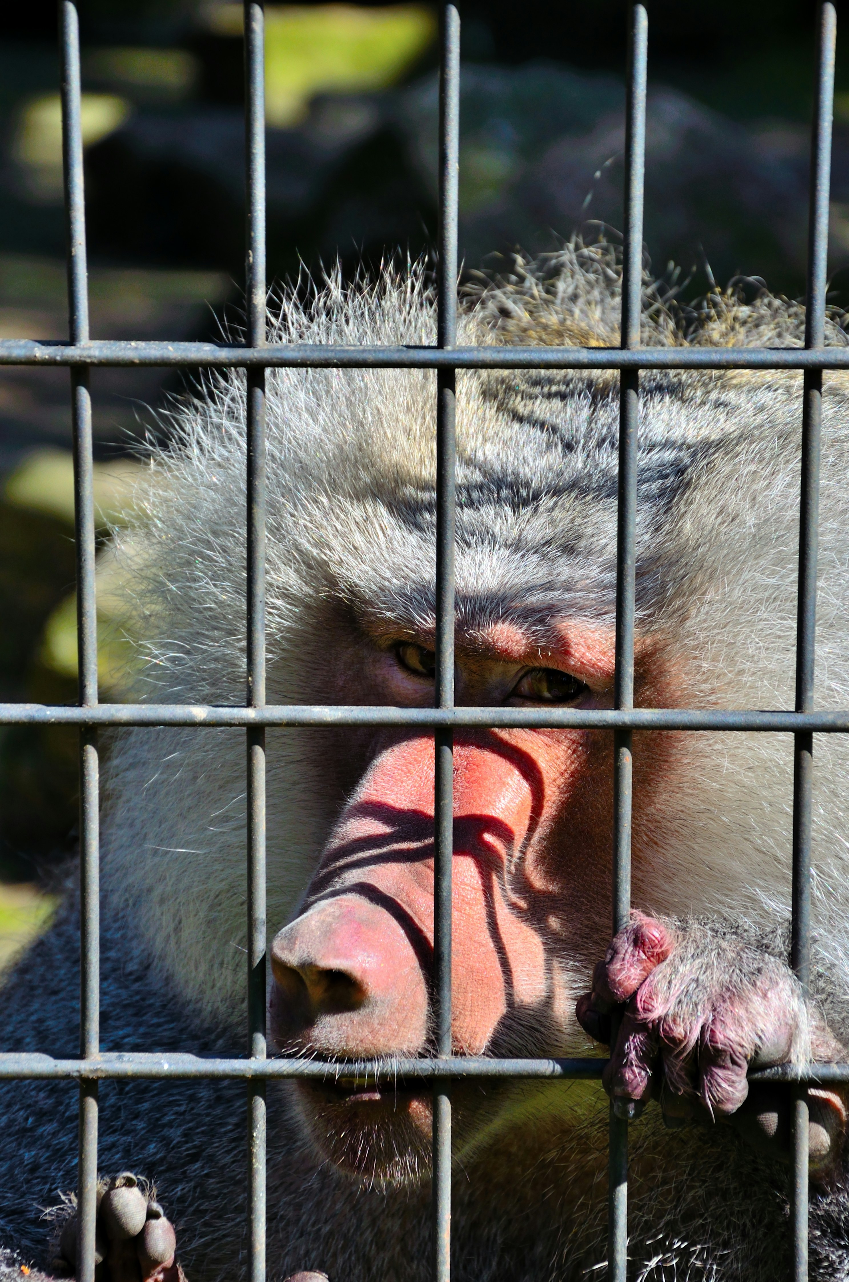 Free Unsplash photo from Piotr Łaskawski