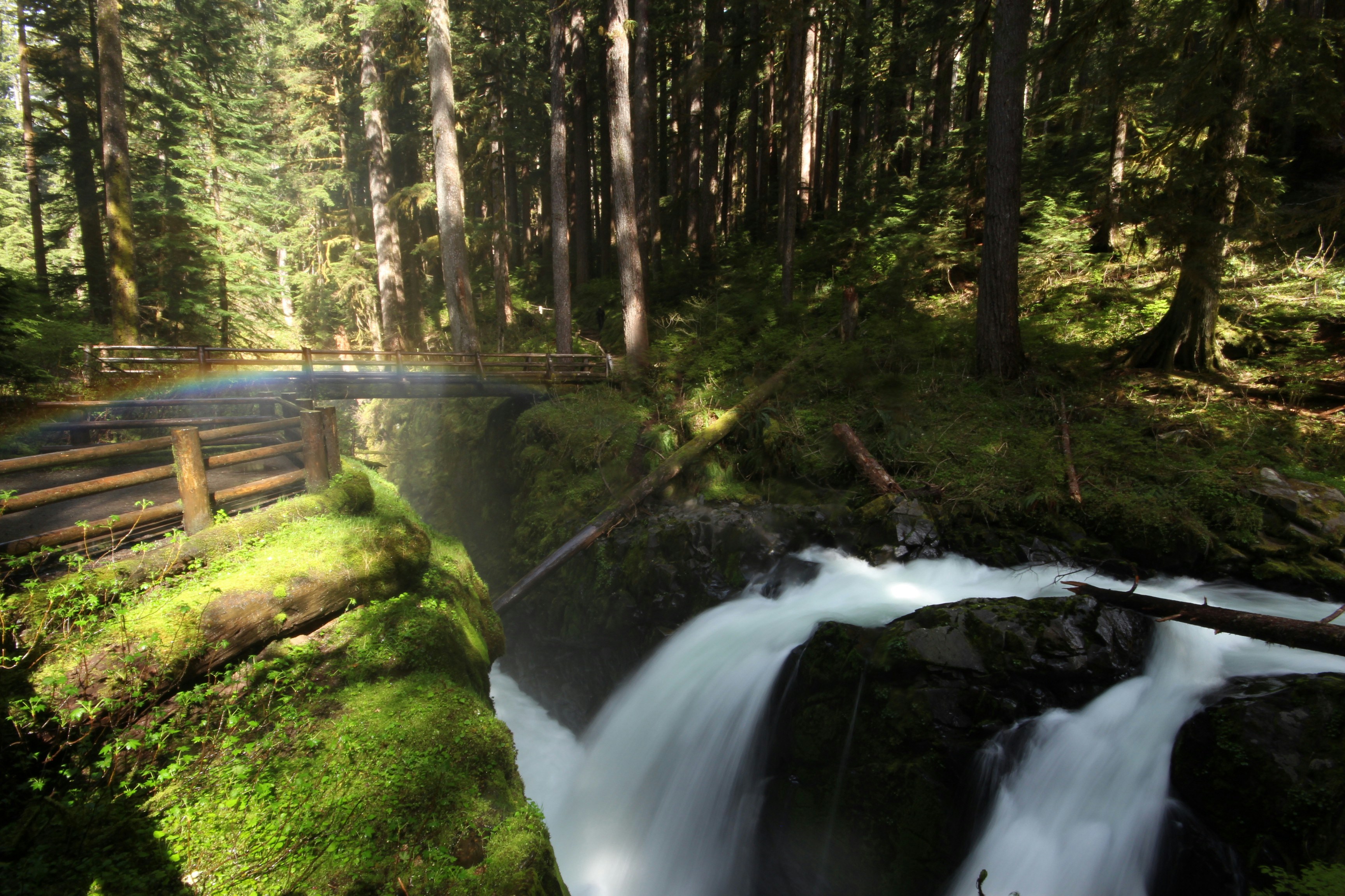 Free Unsplash photo from Madysen Nardi