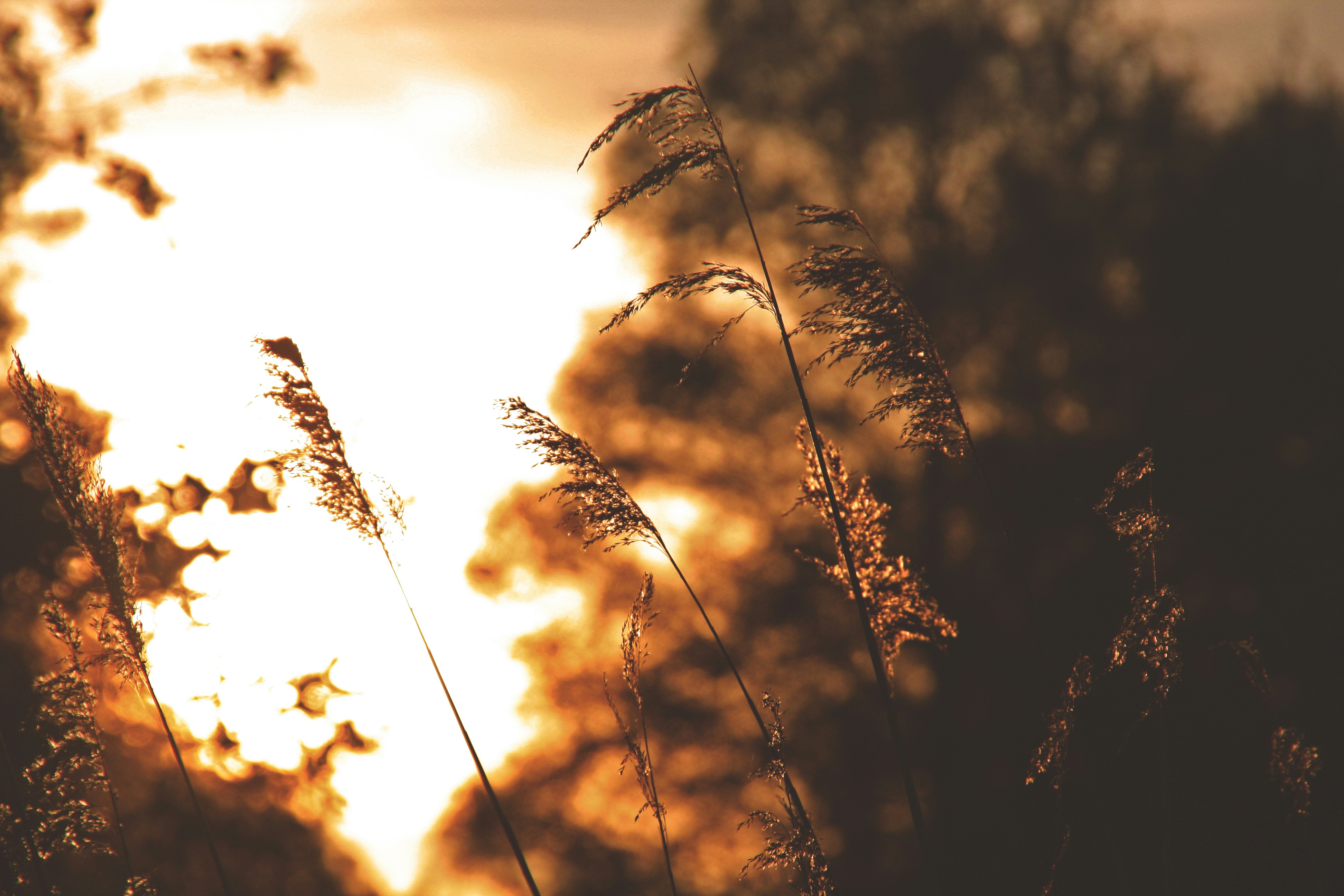 Free Unsplash photo from mark wielinga